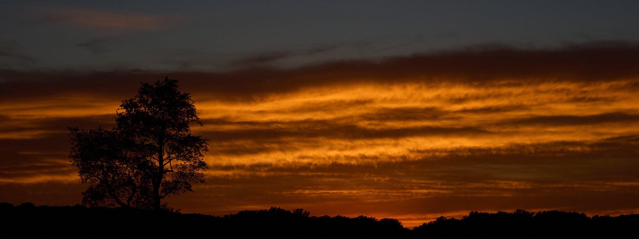 AA_03458.jpg