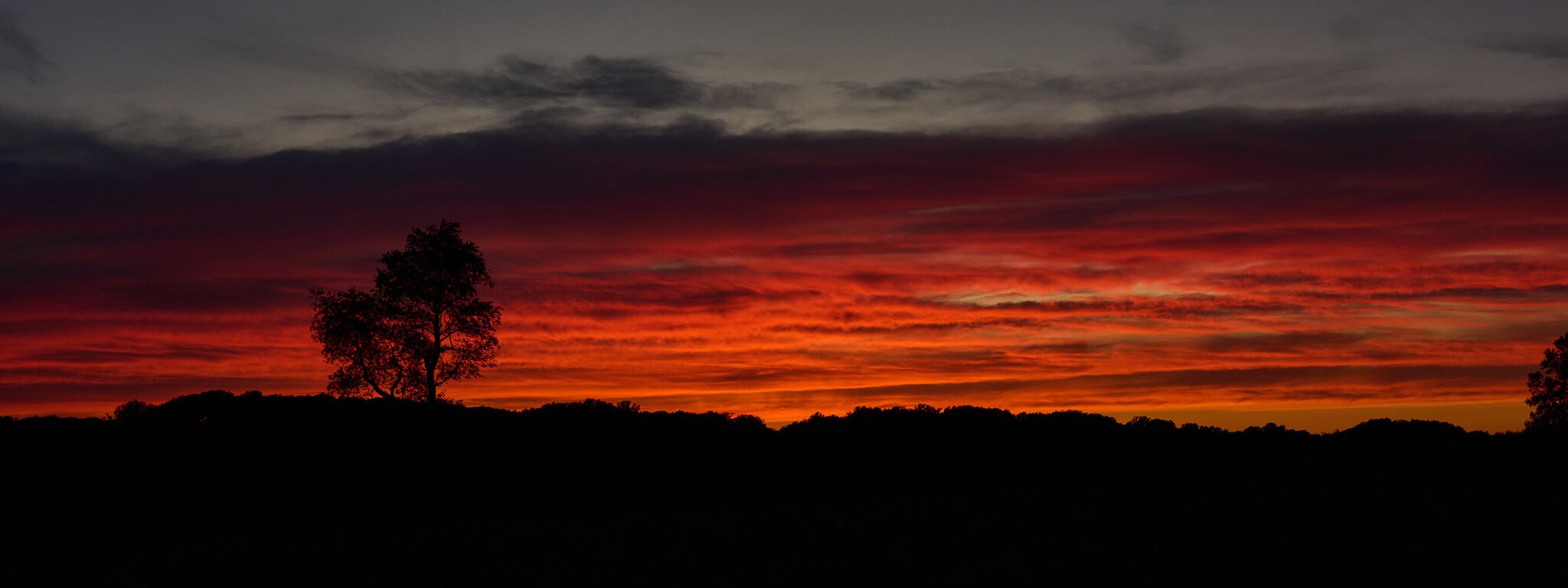 AA_03473.jpg