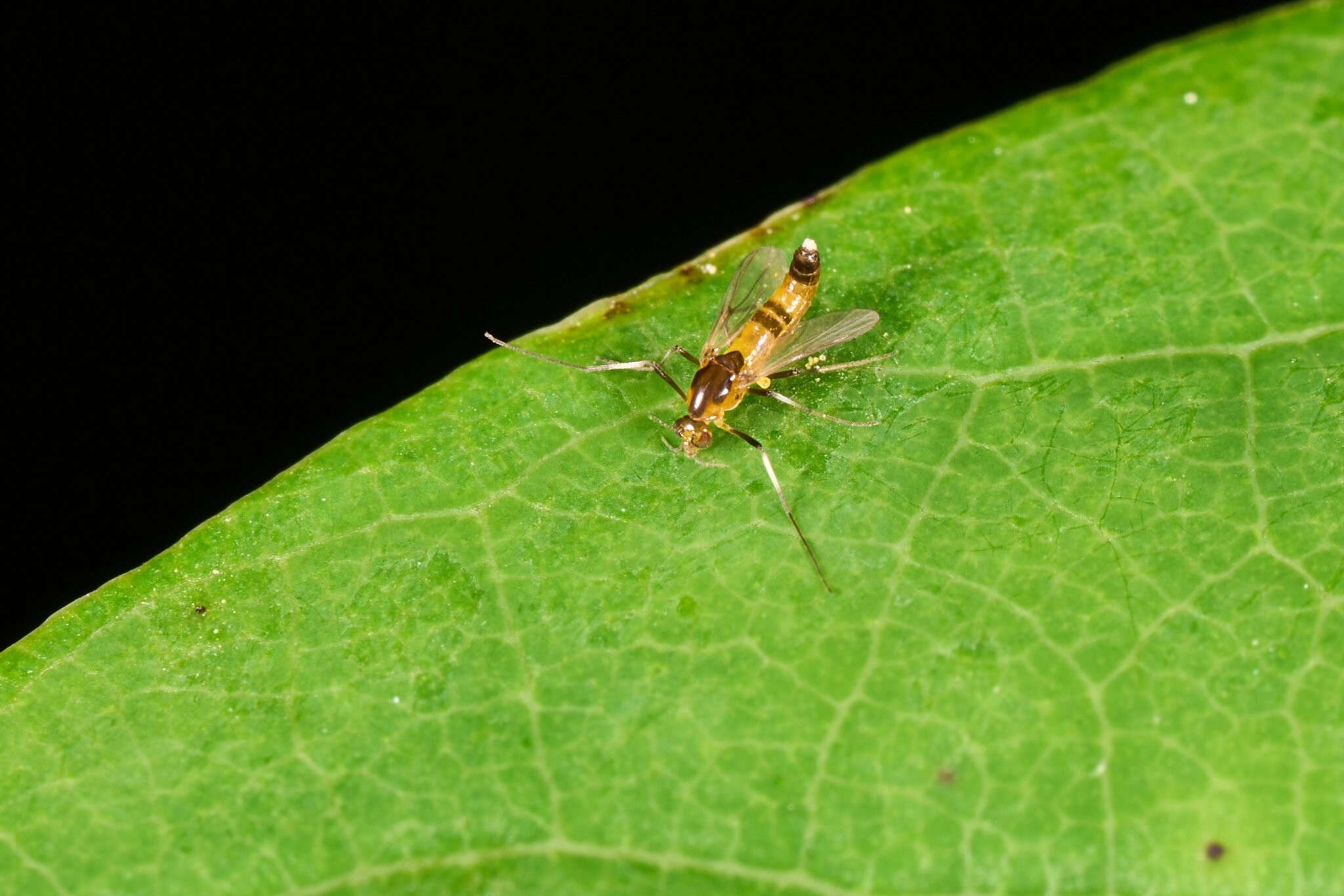 AA_06762.jpg