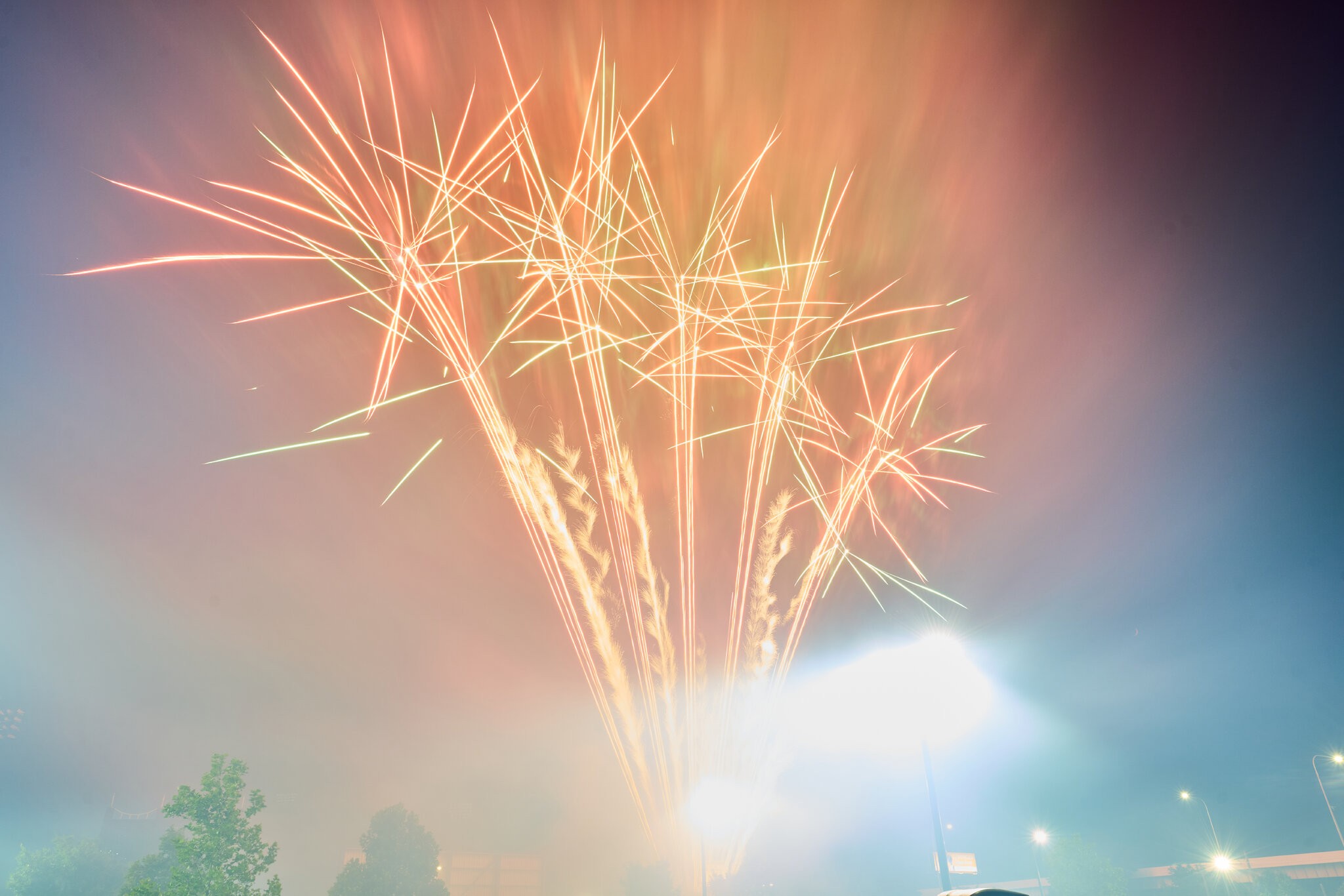 AA_08155.jpg