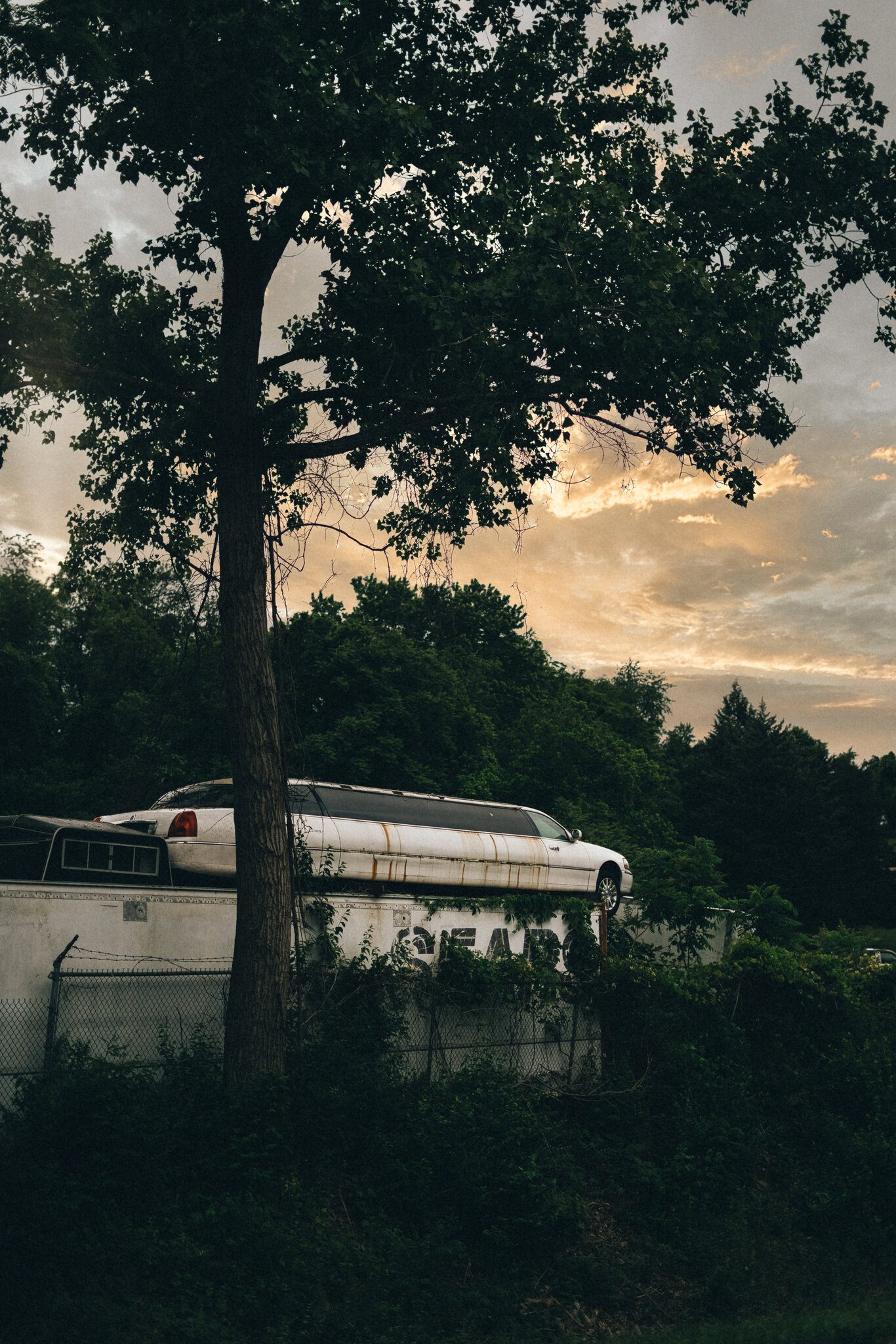 Abandoned Limo