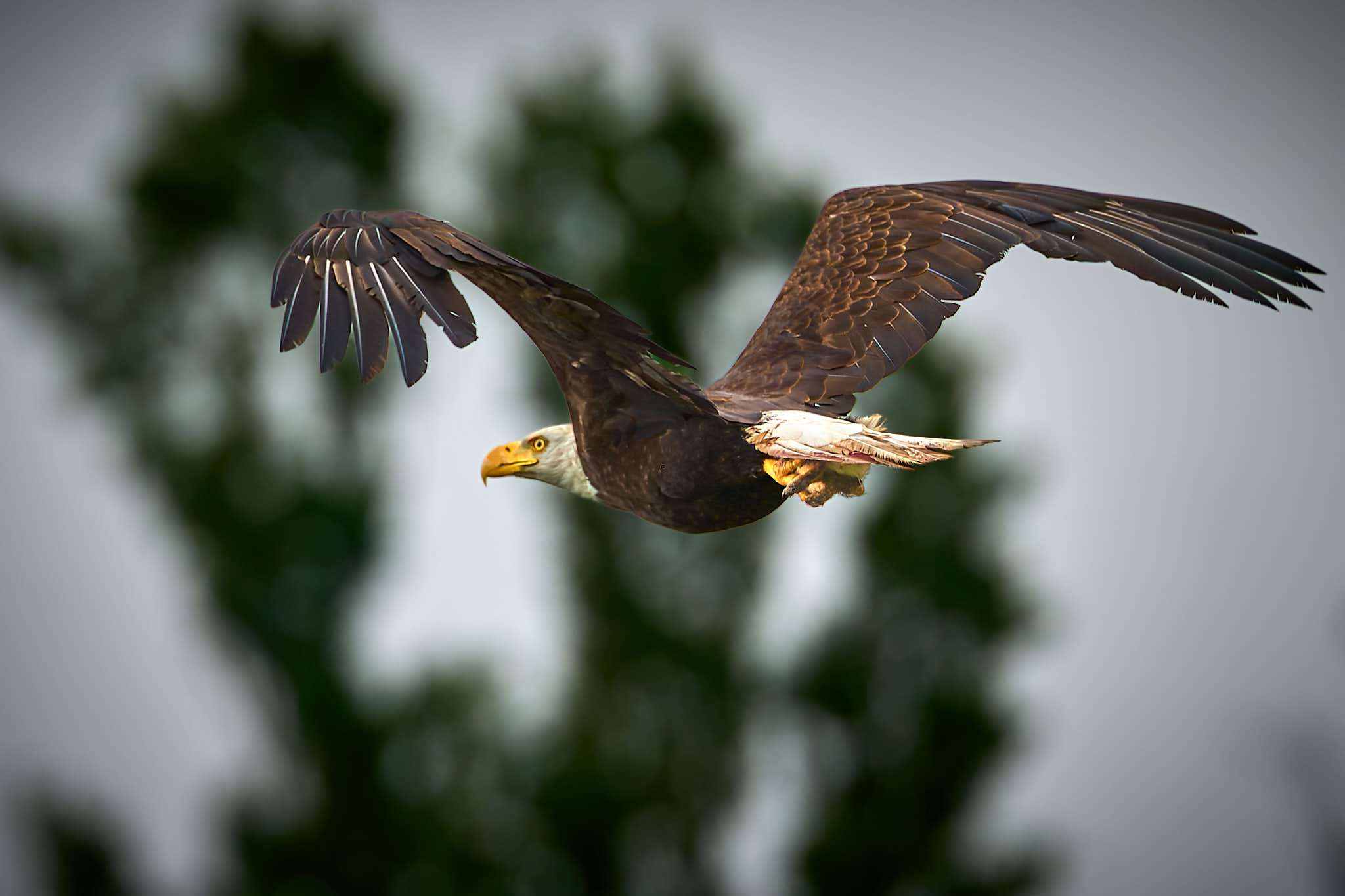 AII07124.jpg