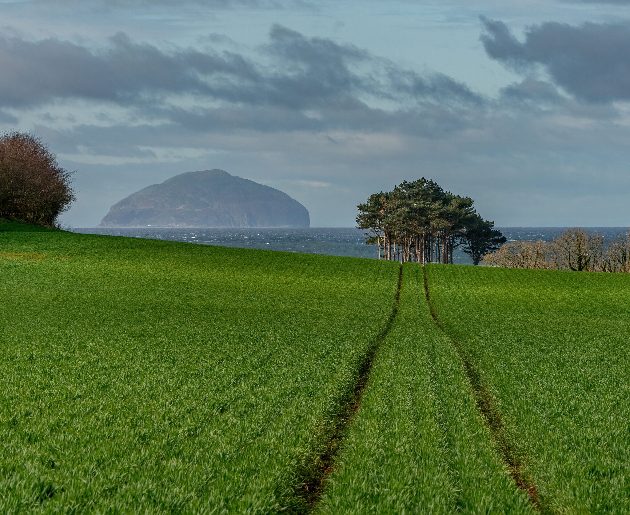 Ailsa Craig1.jpg