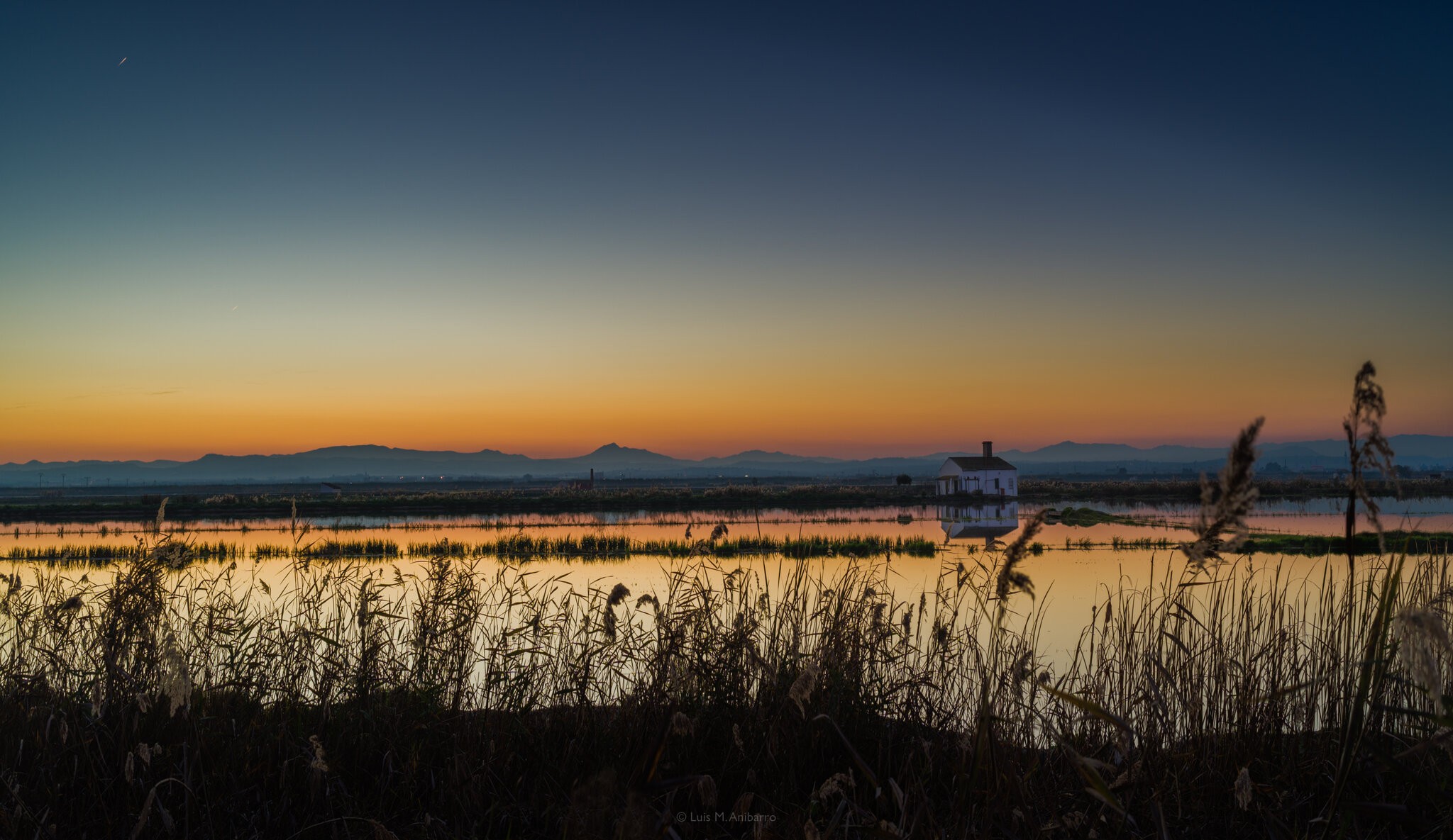 albufera-4.jpg