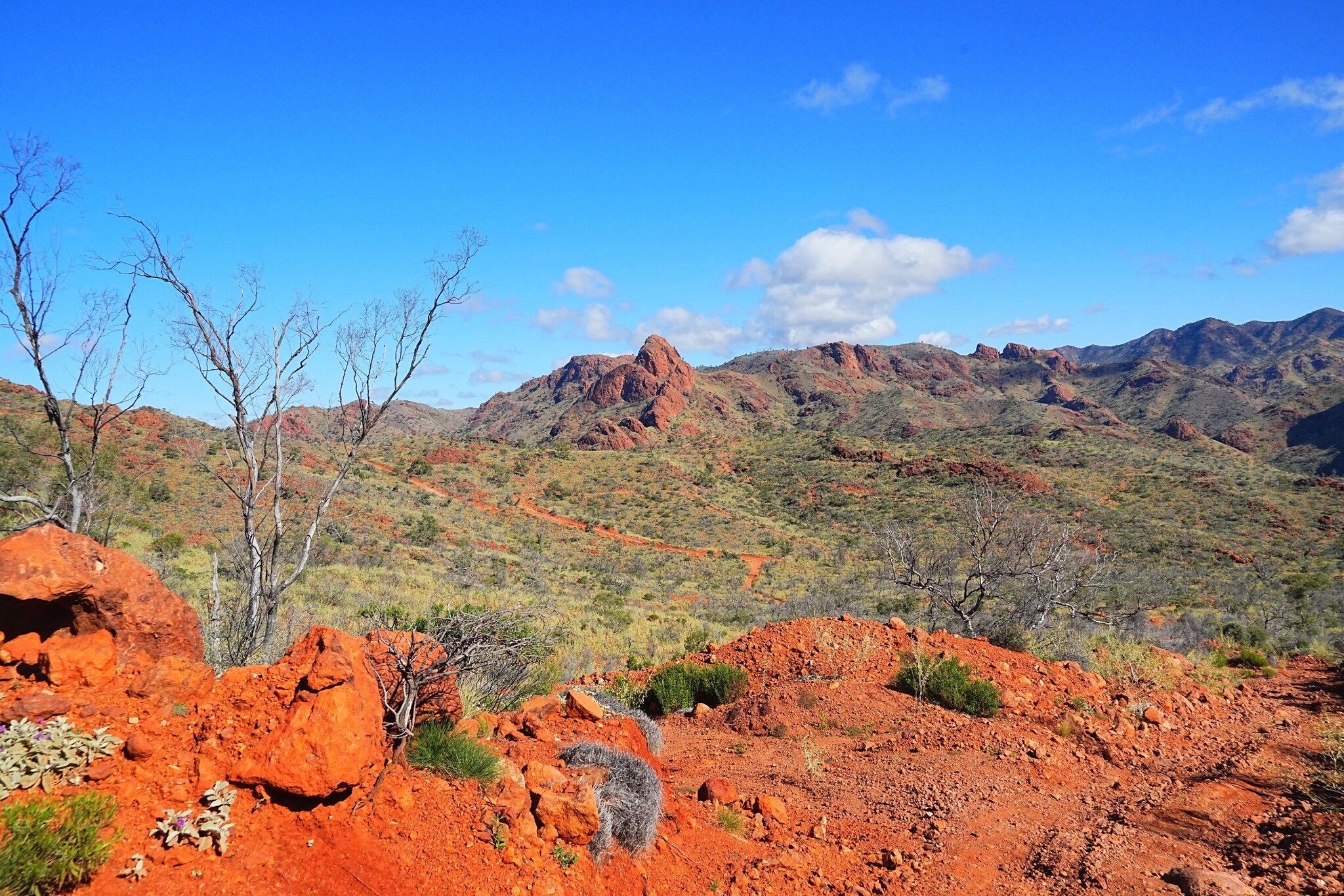 Arkaroola