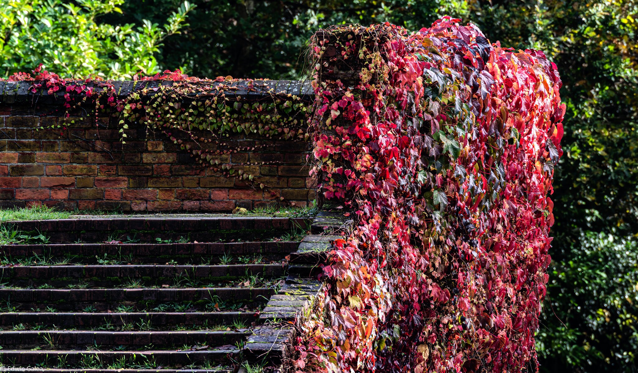 autumn_leaves_steps_hdr-3.jpg