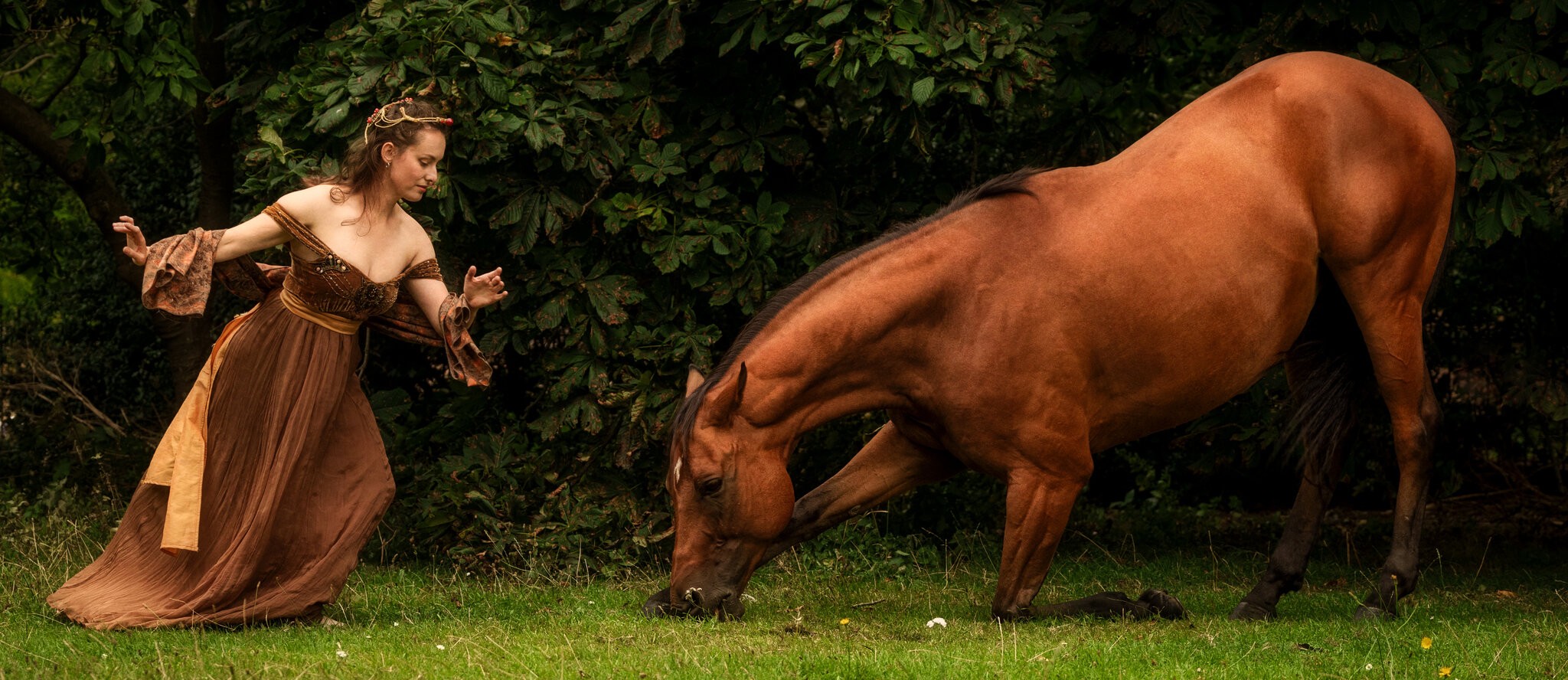 ballet and horse.jpg