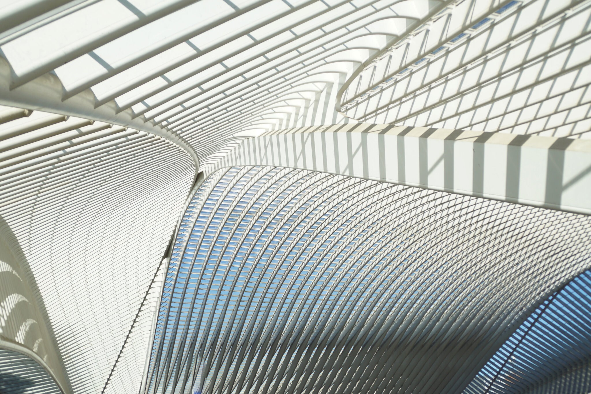 Belgium - Liège - Guillemins station