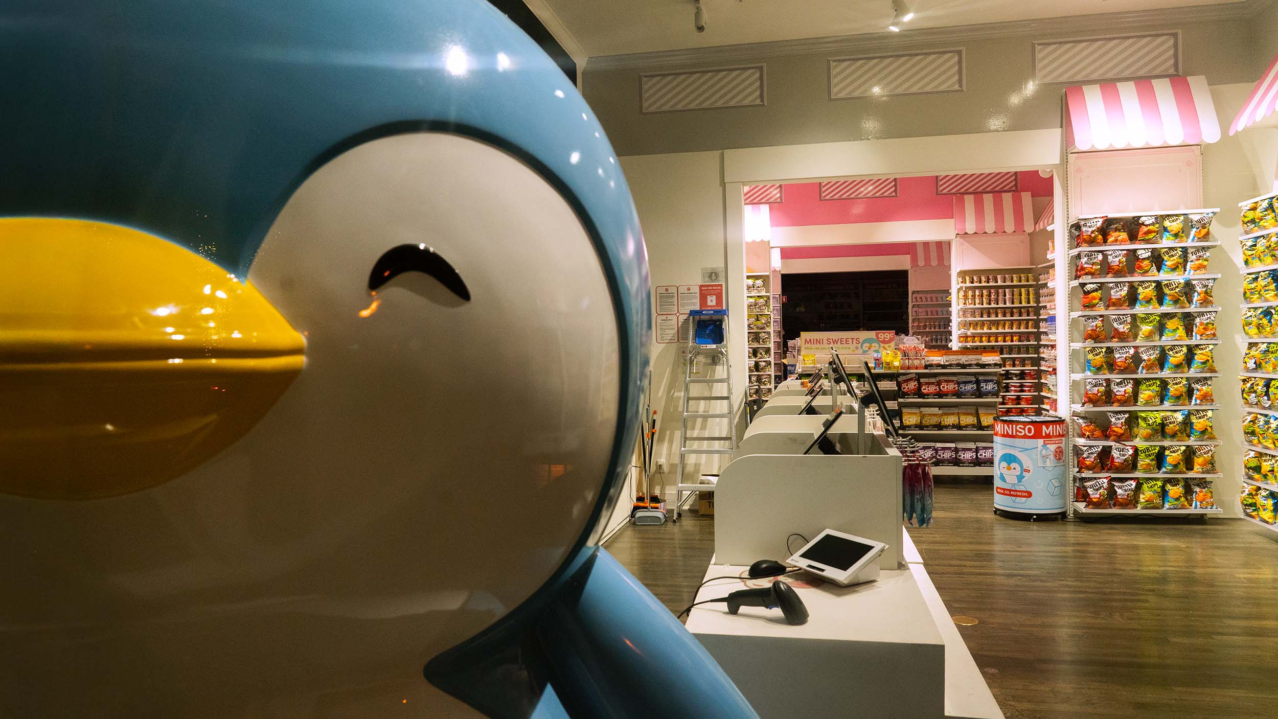 Bird at Goodies Shop