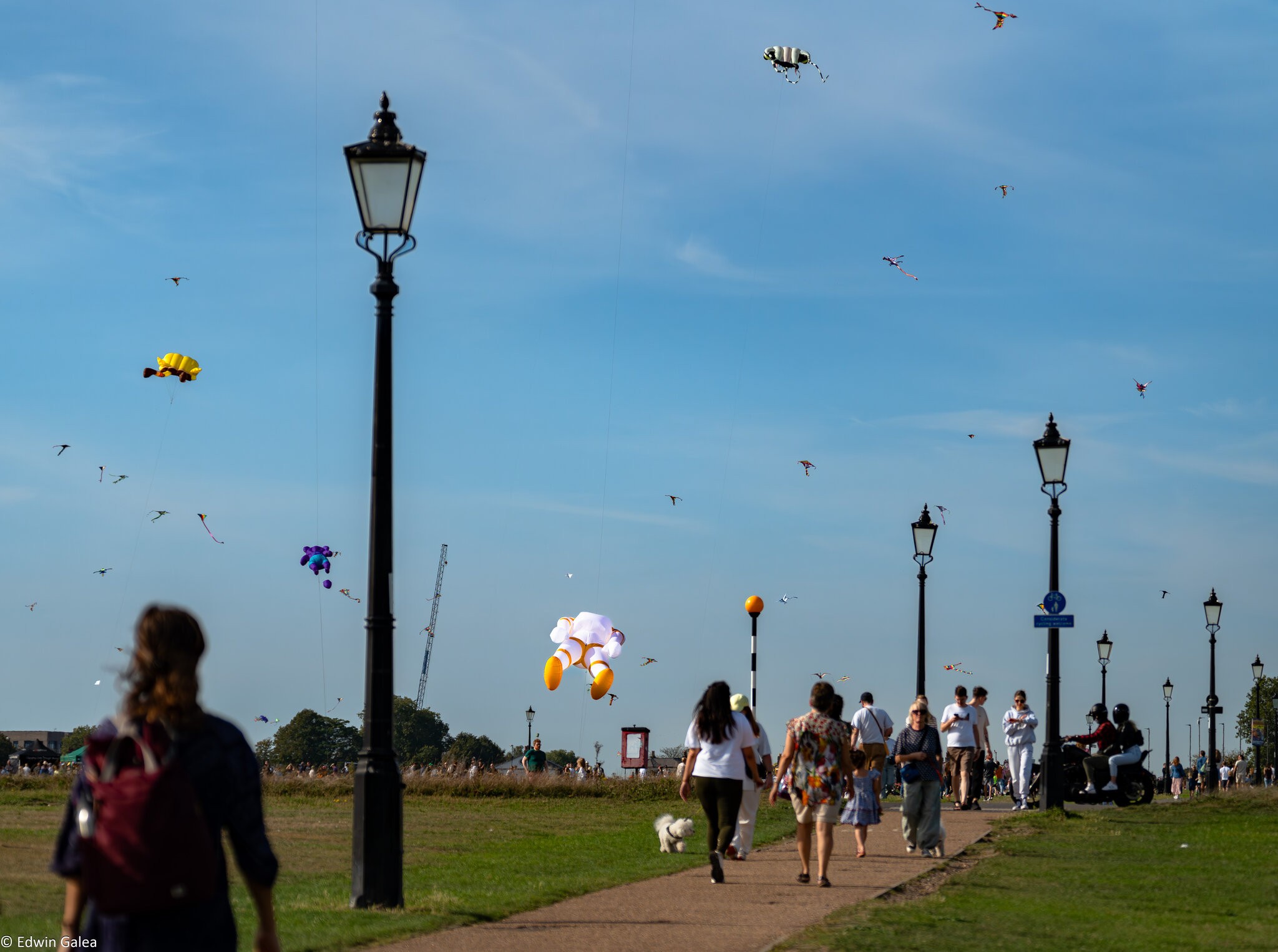 blackheath_kite_day-10.jpg