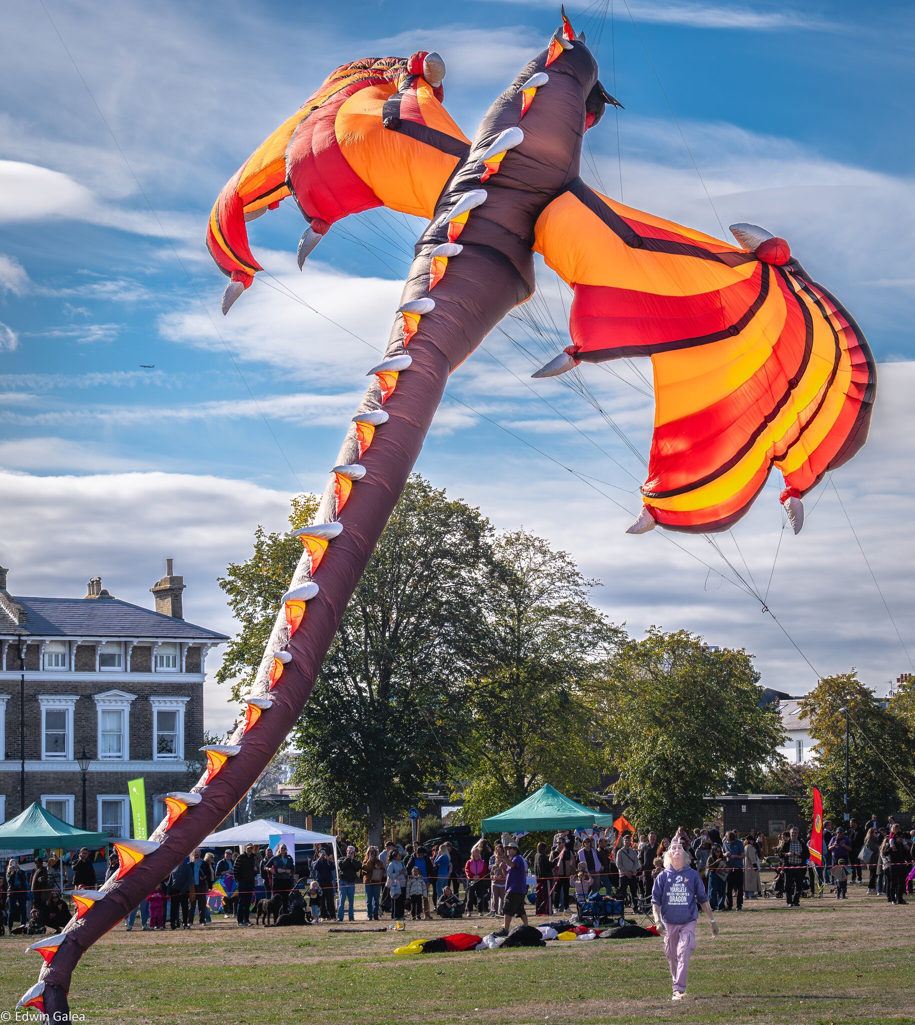 blackheath_kites-8.jpg