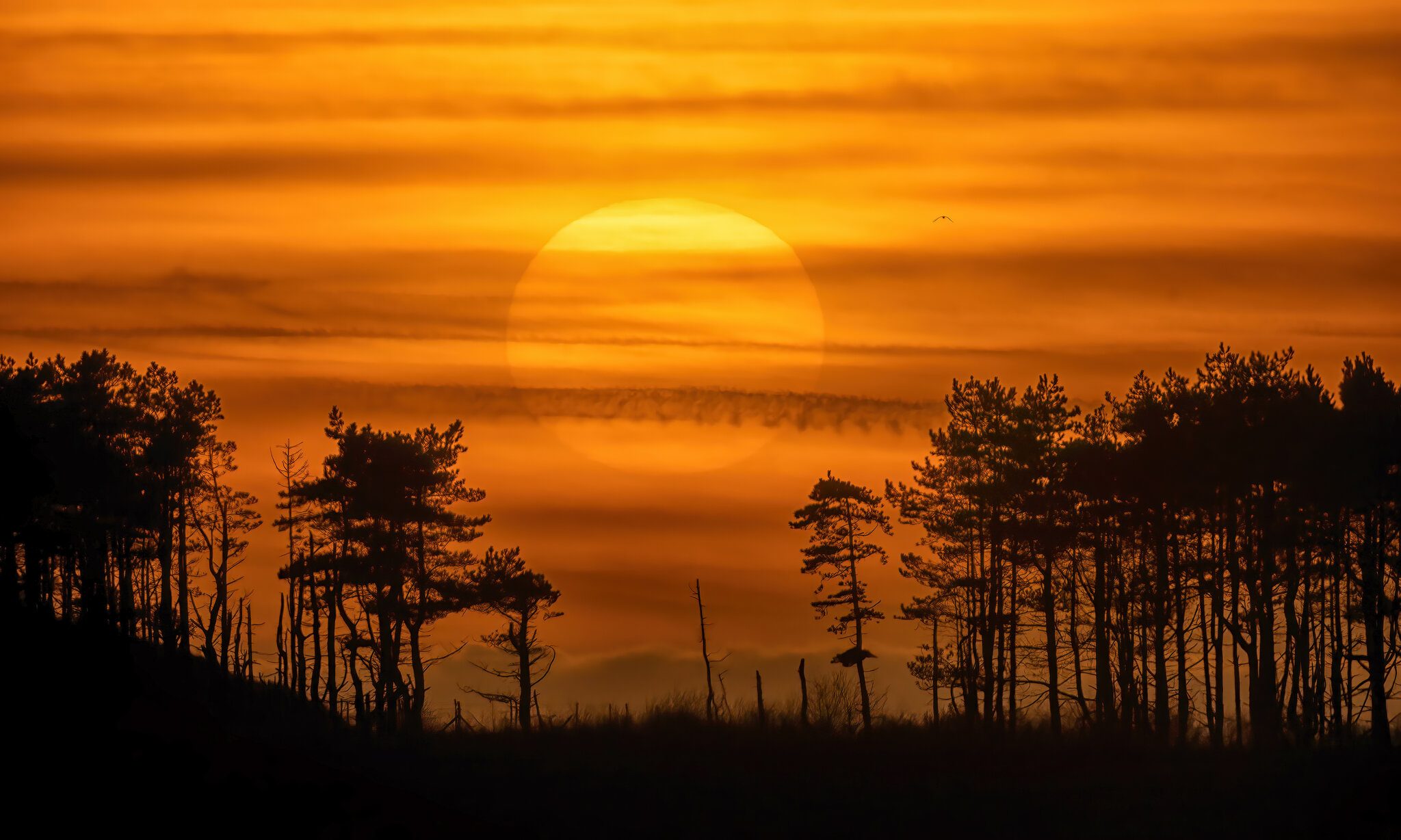 Bogside Sunset.jpg