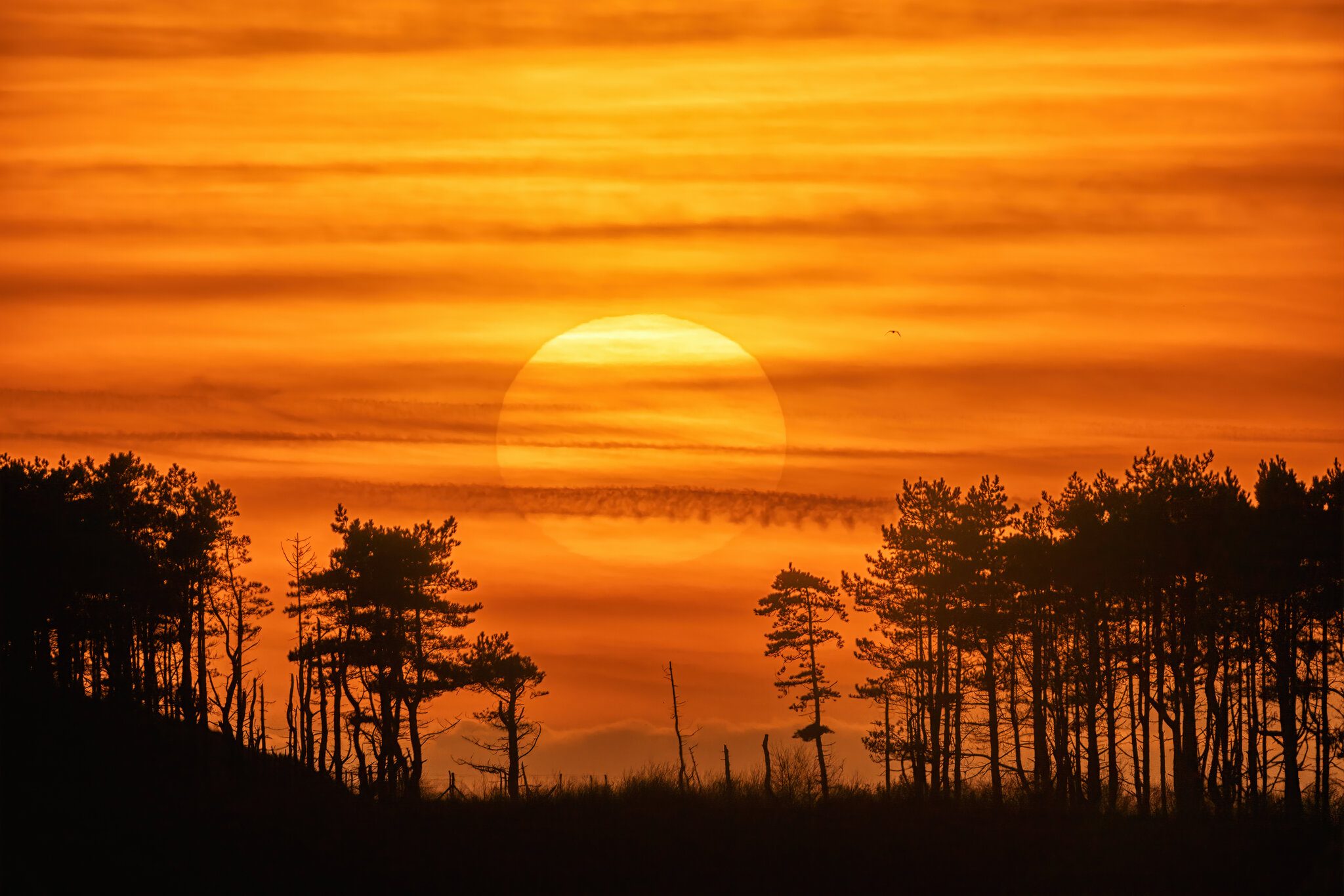 Bogside Sunset .jpg