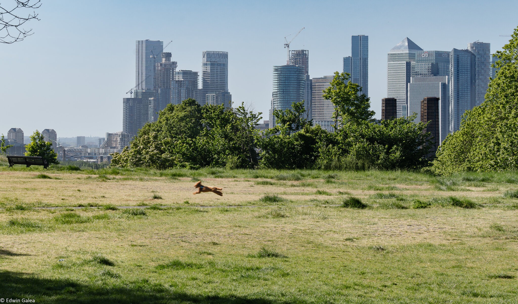 canarywharf_greenwich-3.jpg