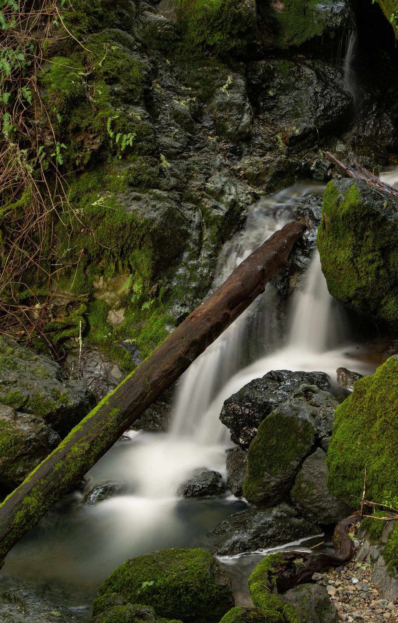 Cataract Creek Mountain Stream