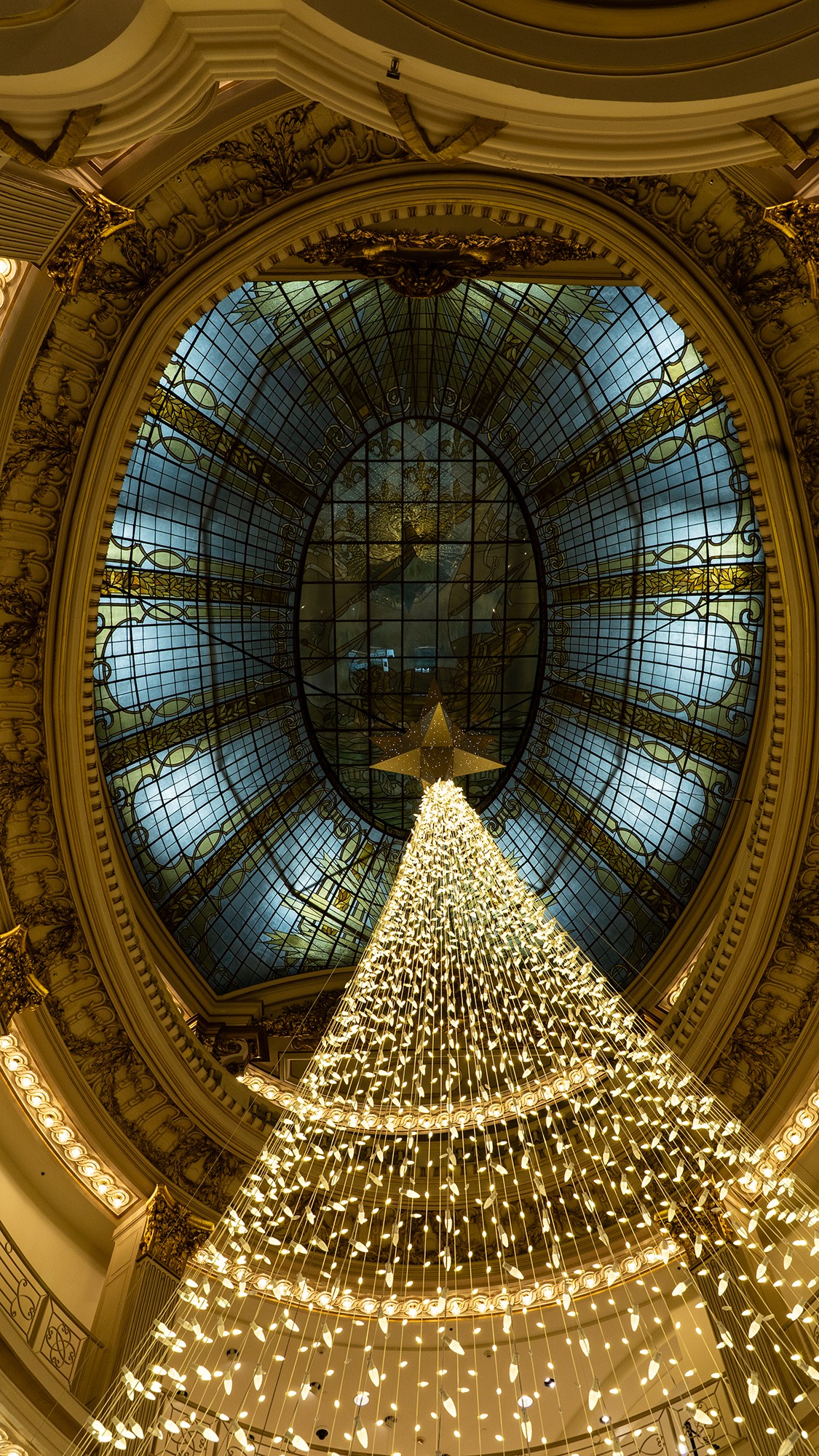 Ceiling and Xmas Tree inside Neiman Marcus .jpg