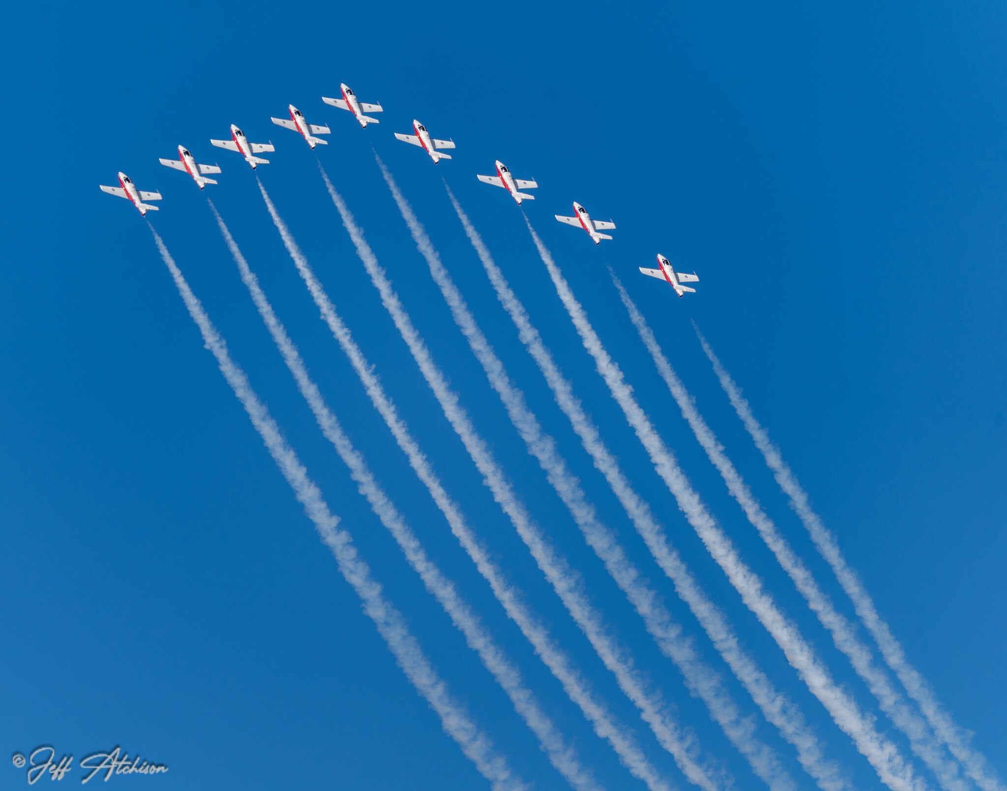 CF Snowbirds.jpg