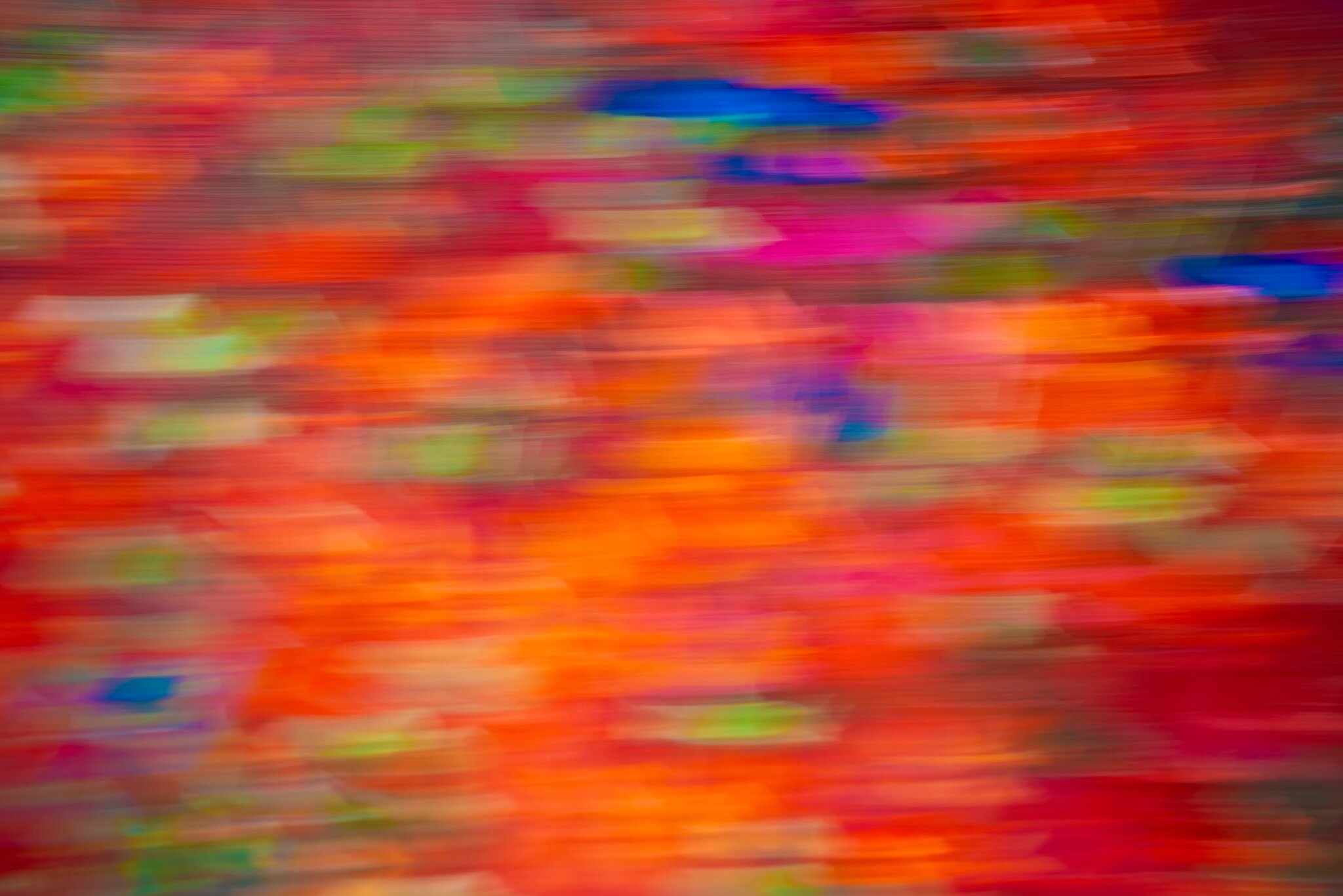 Color in Motion - DSC00060.jpeg