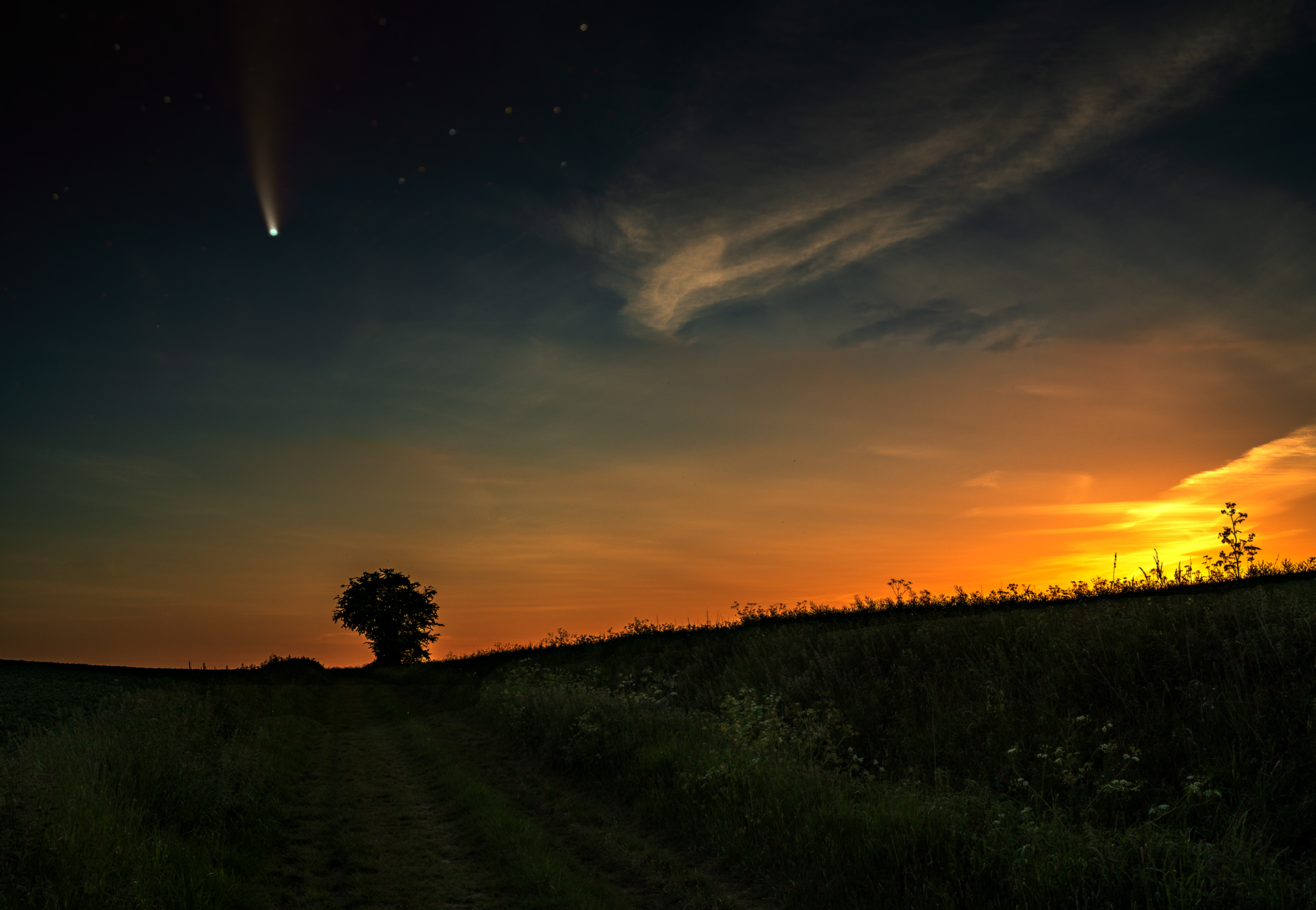 Comet Neowise over Standon.jpg