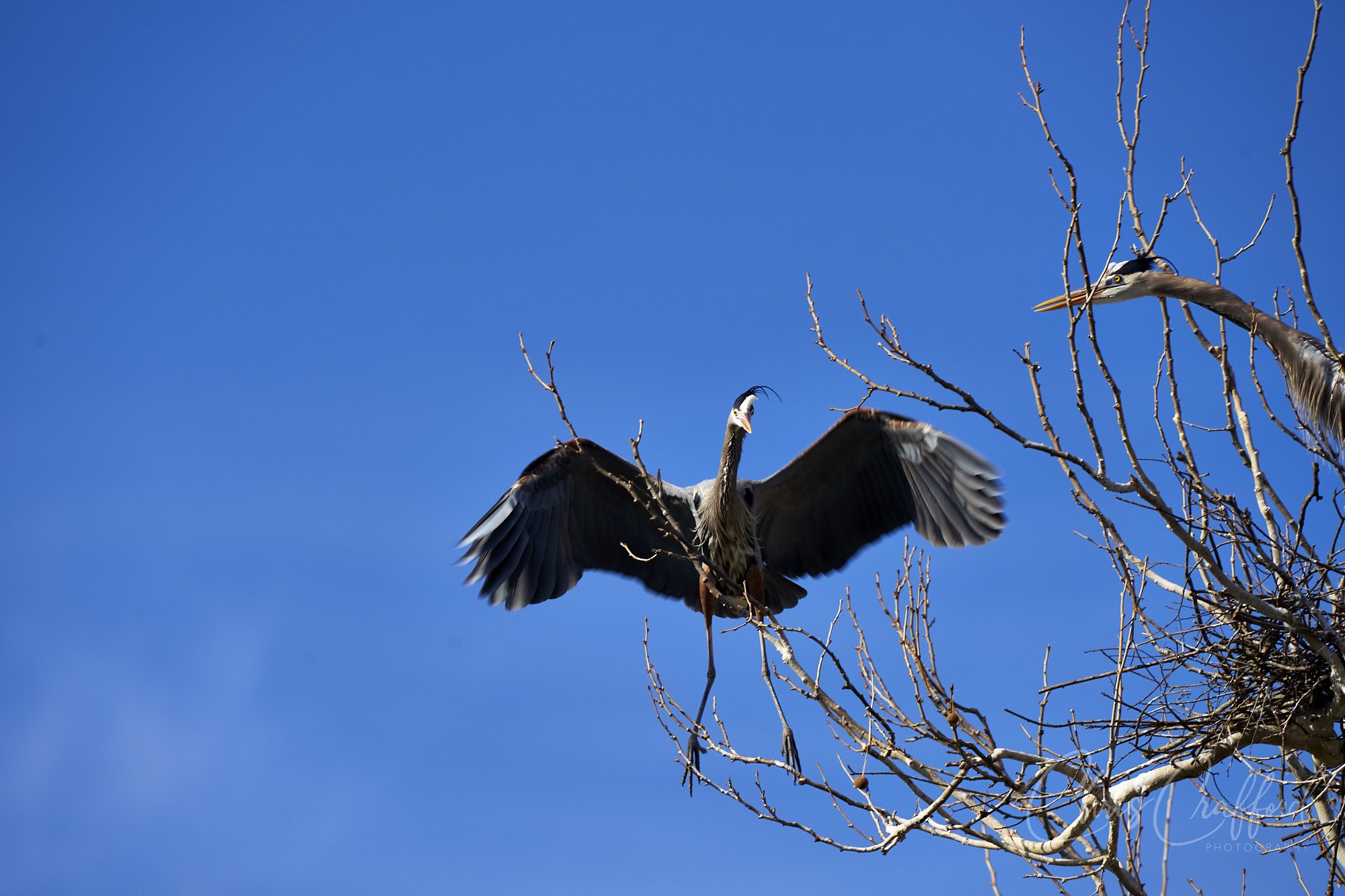 COming in to land