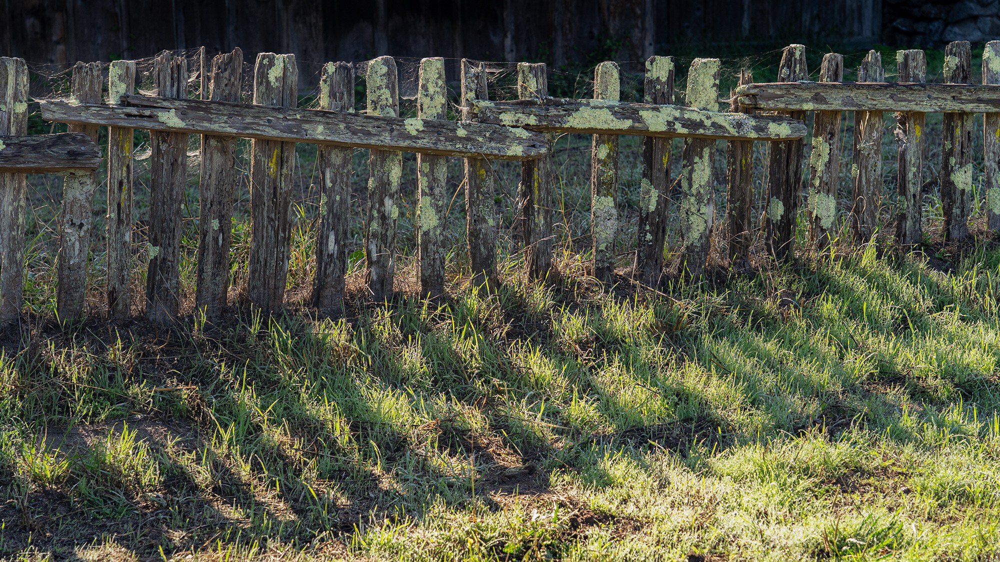 Cool Fense and shadow.jpg