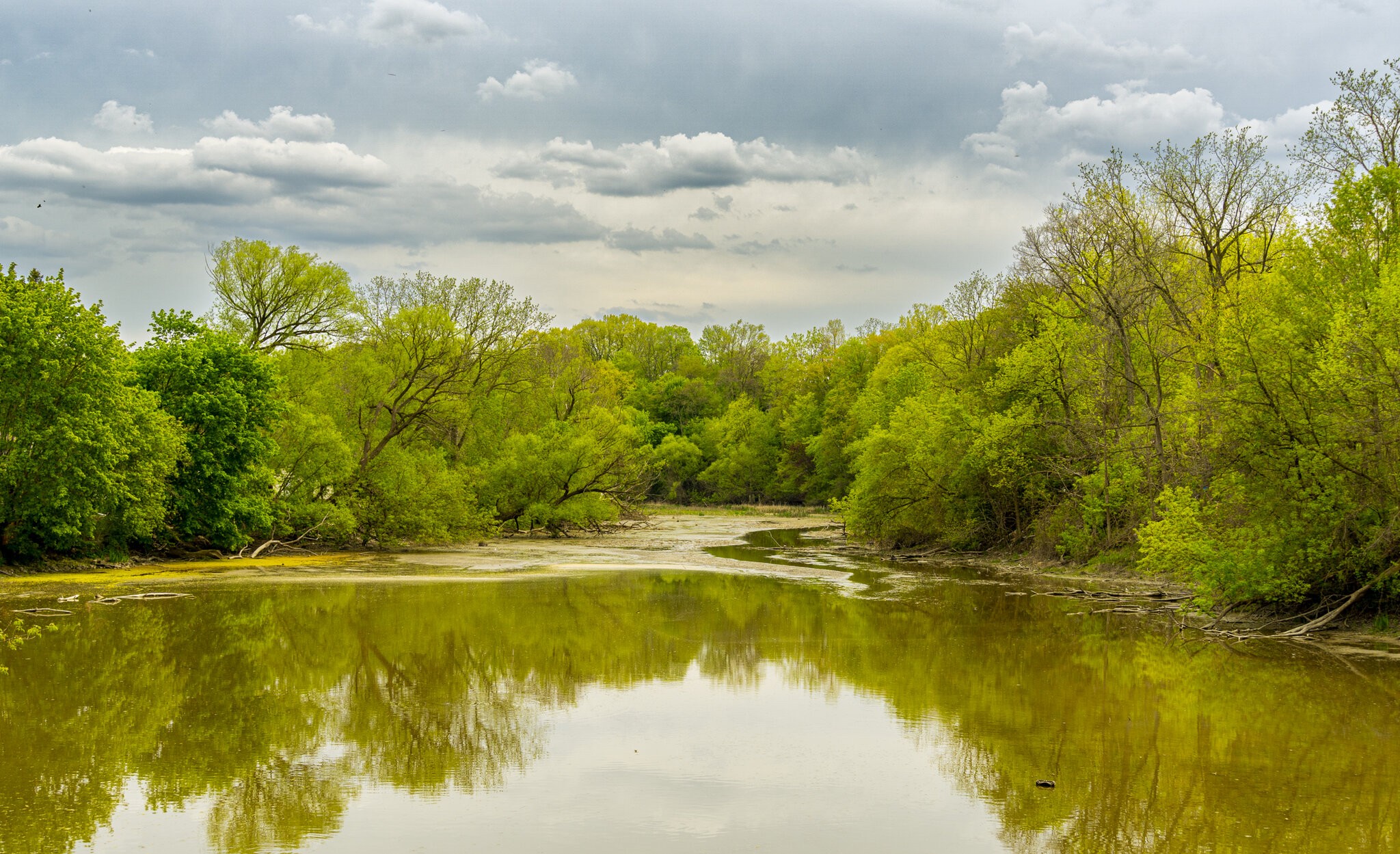 Coves Pond