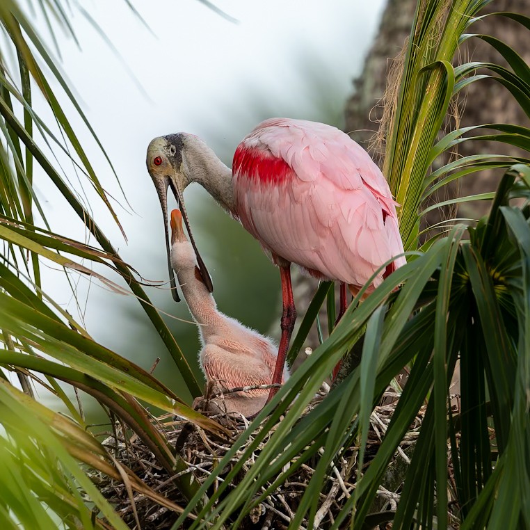 DSC00176-20260319-DxO_DeepPRIME XD3.jpeg