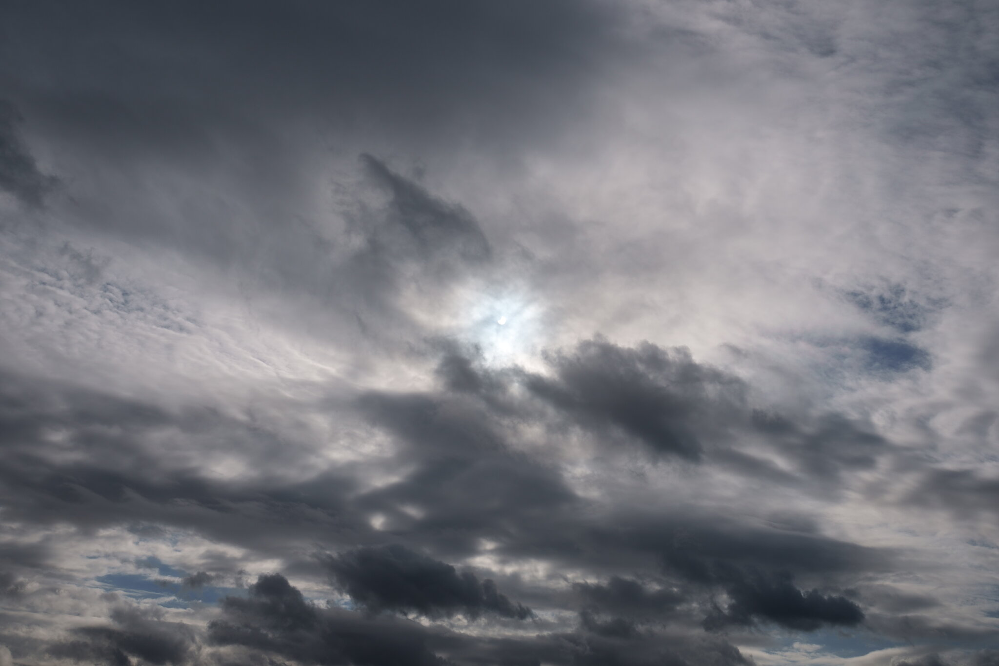 DSC00398.JPG