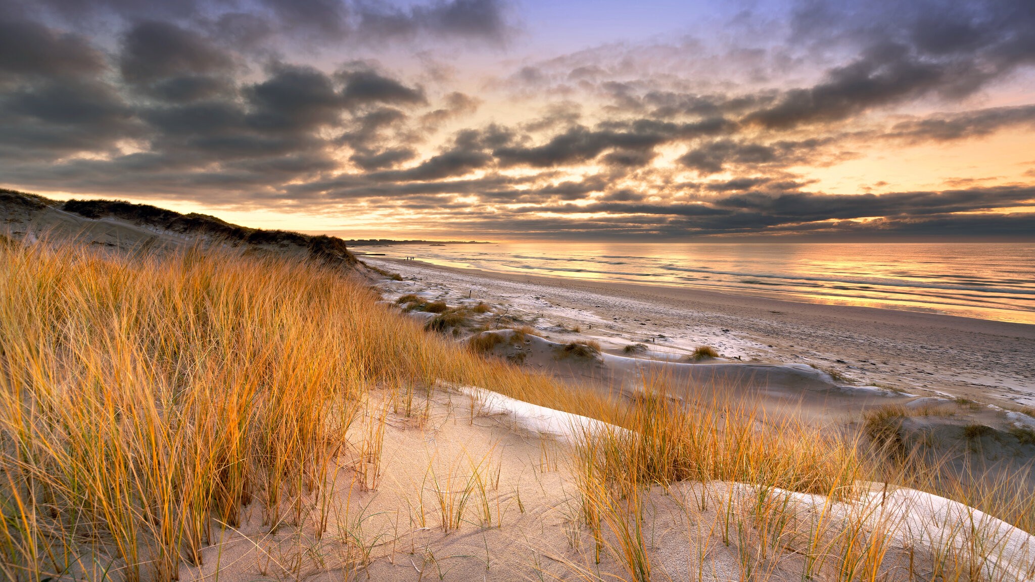 DSC00594-ARW_DxO_DeepPRIME (7mb).jpg