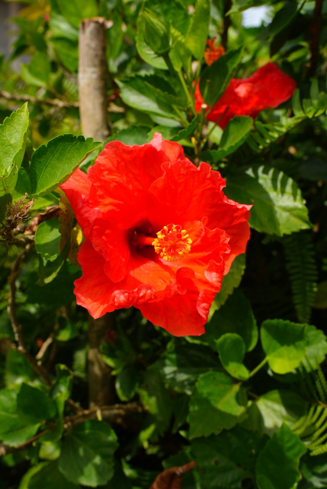 DSC02265.JPG