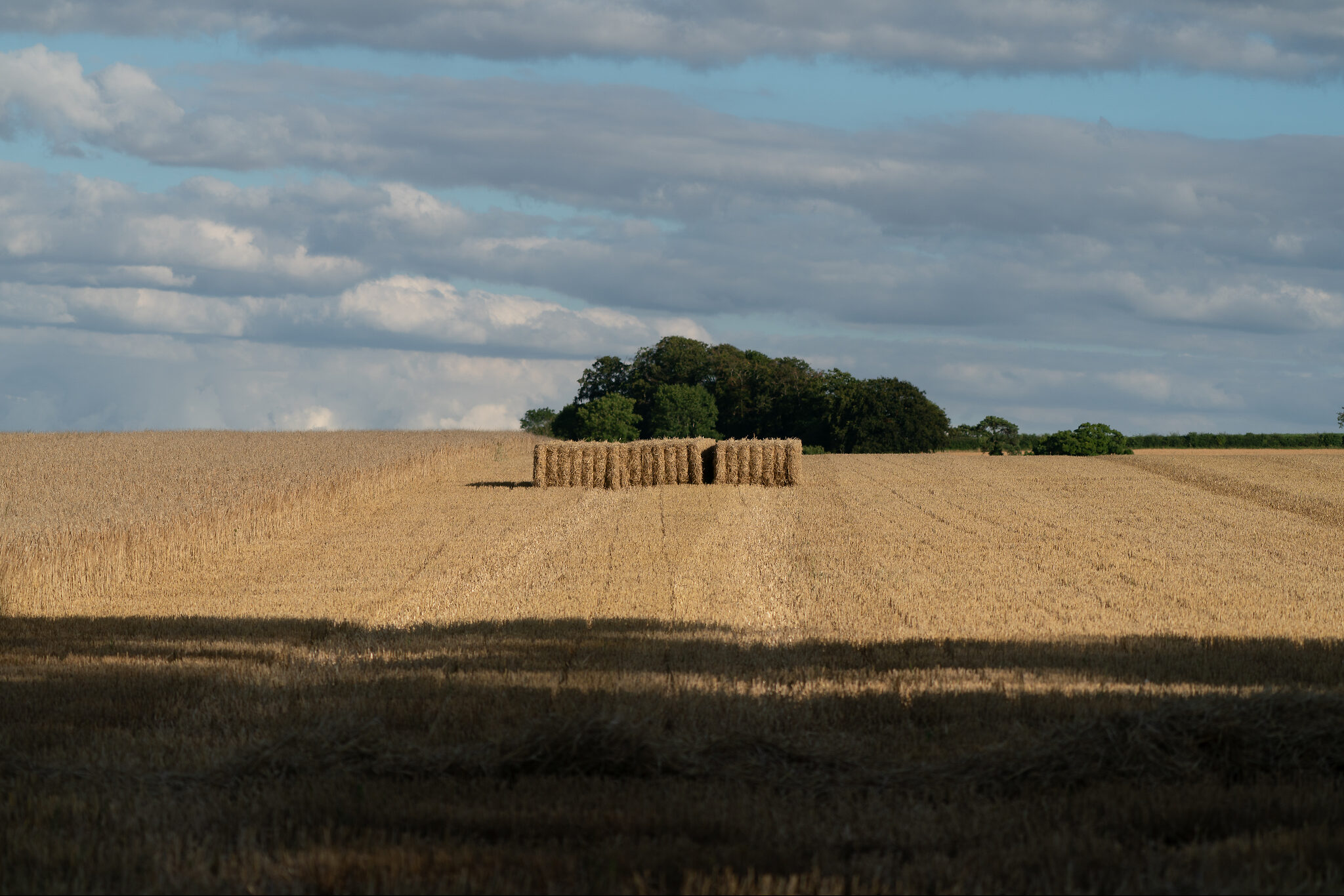 DSC02333-5.jpg