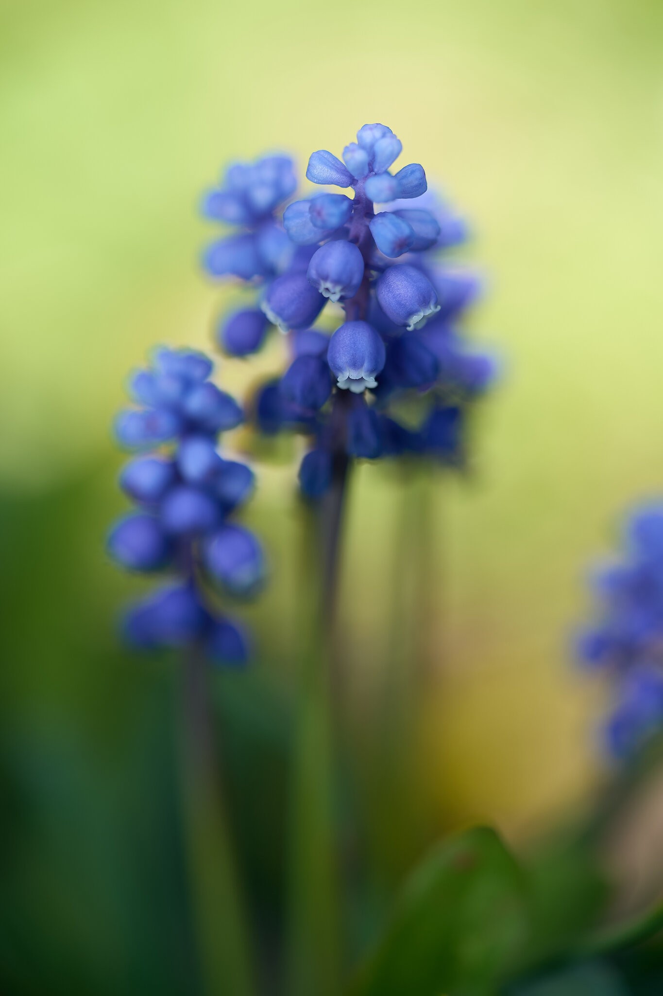 DSC02451.jpg