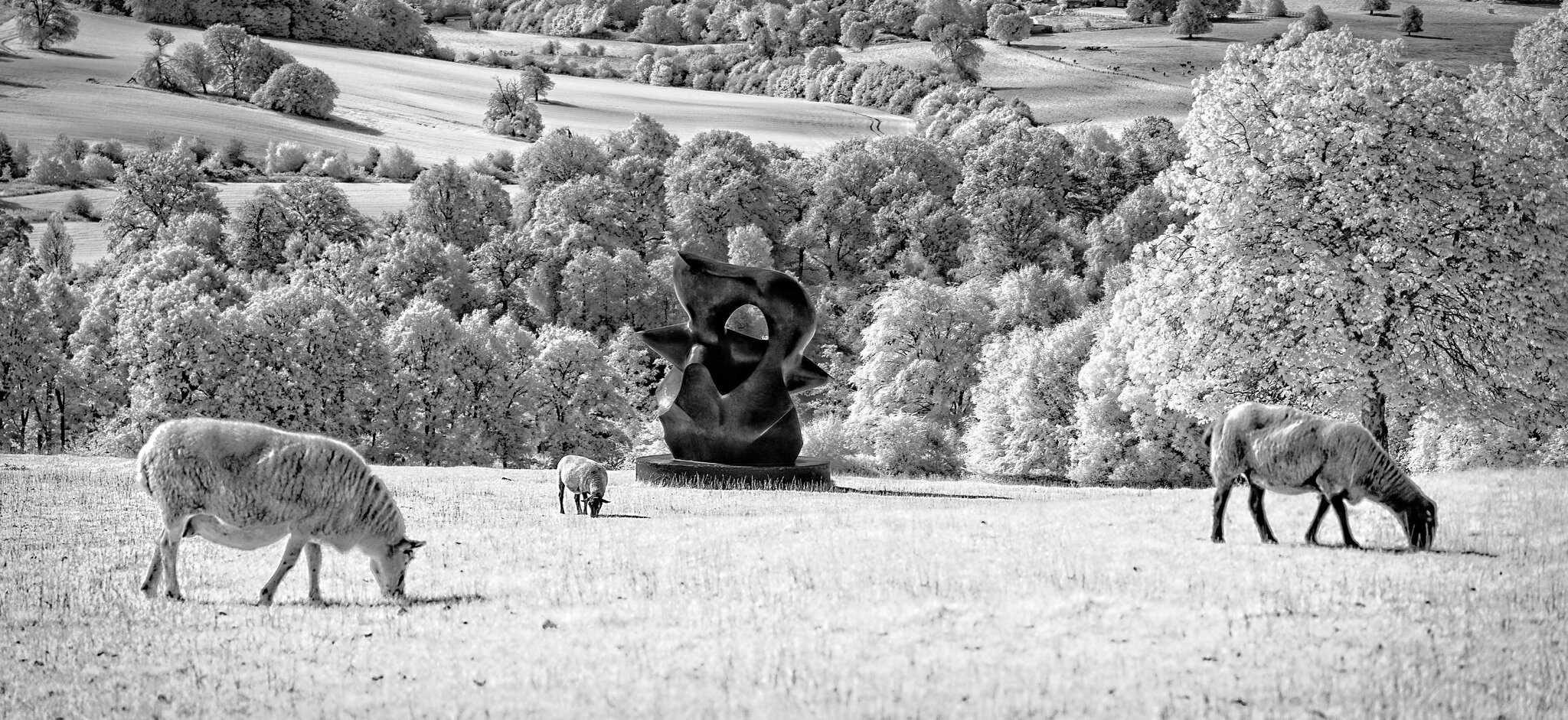 DSC03132 henry moore large spindle piece.jpg