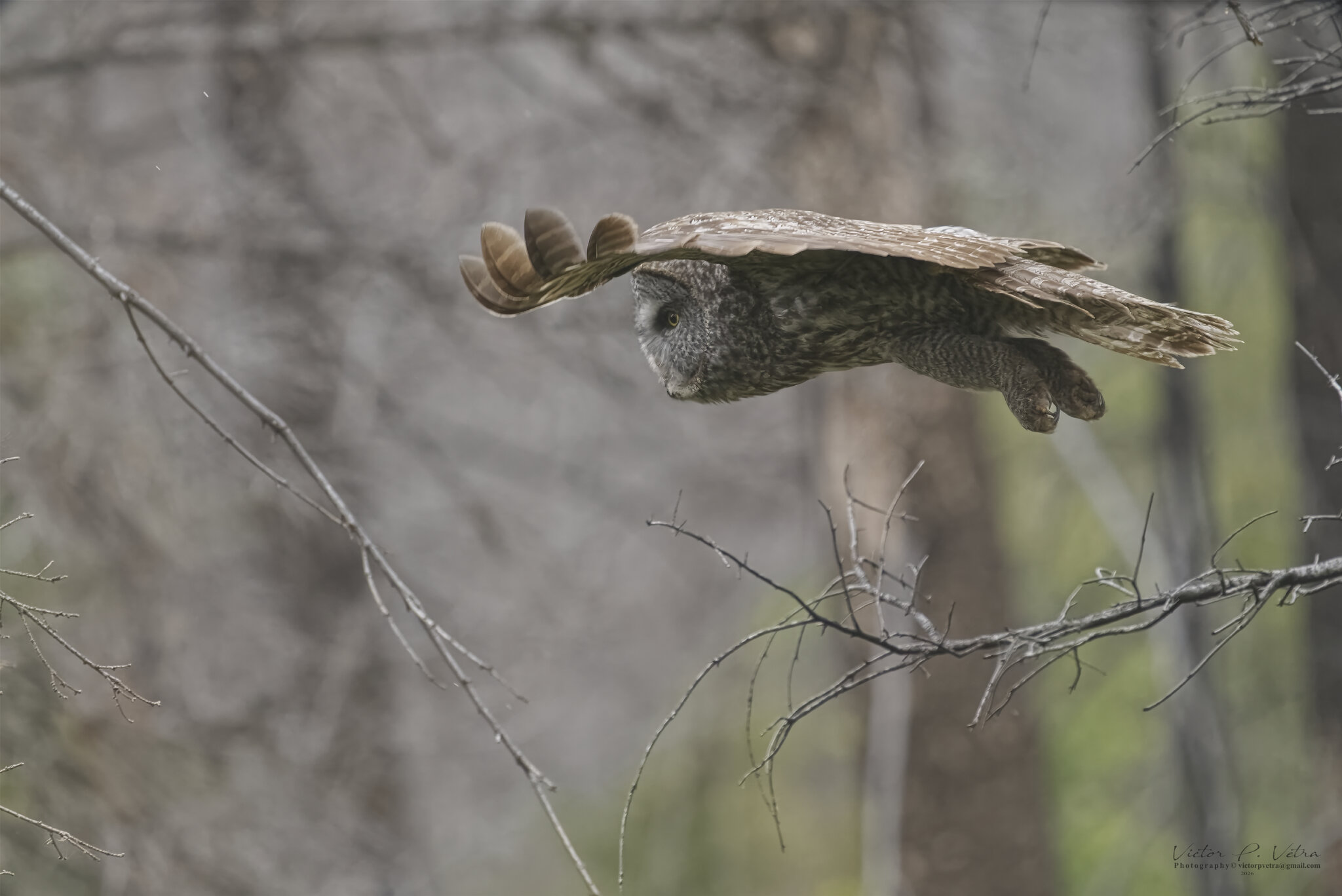 DSC04901.jpg