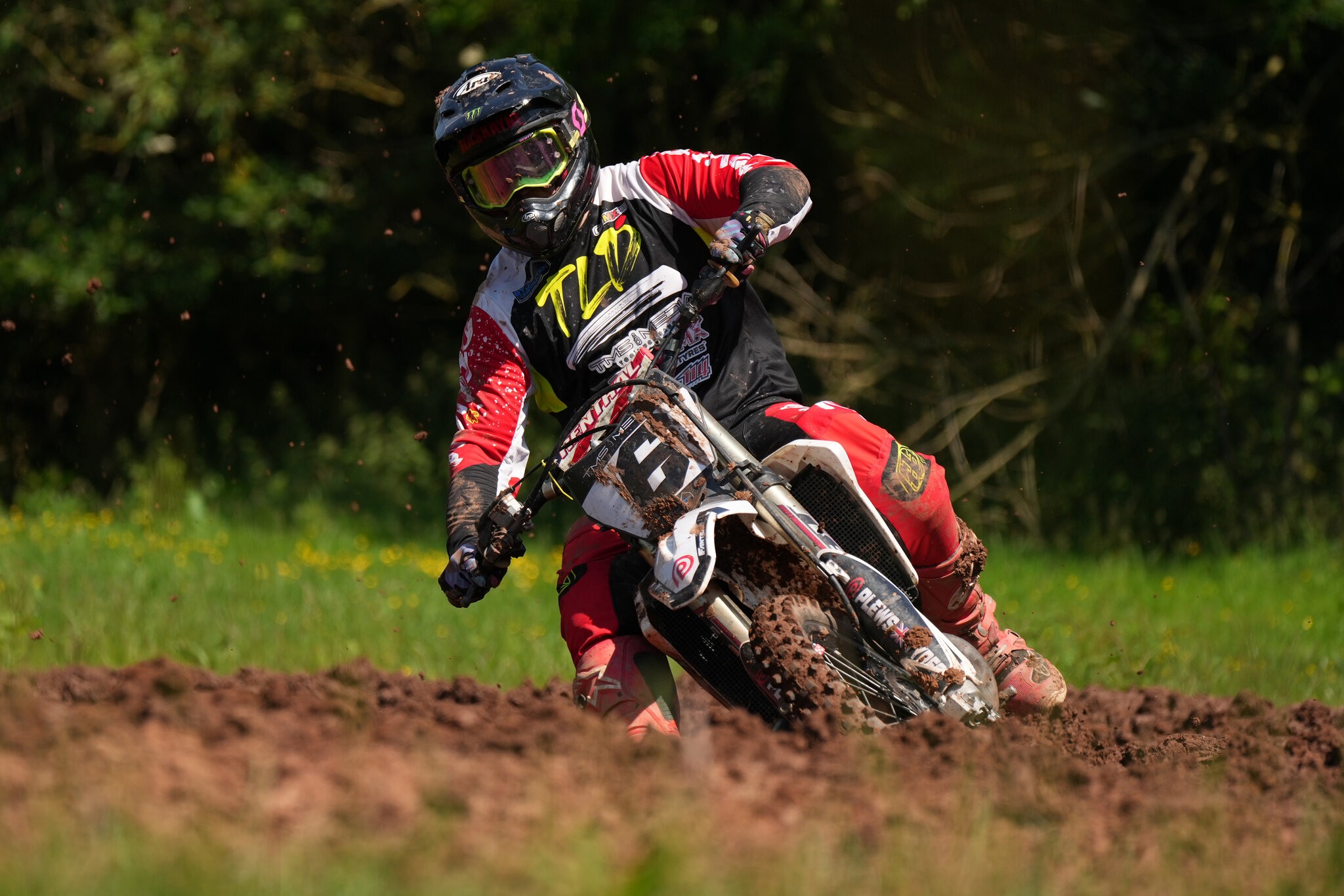 DSC05685-Crop.jpg