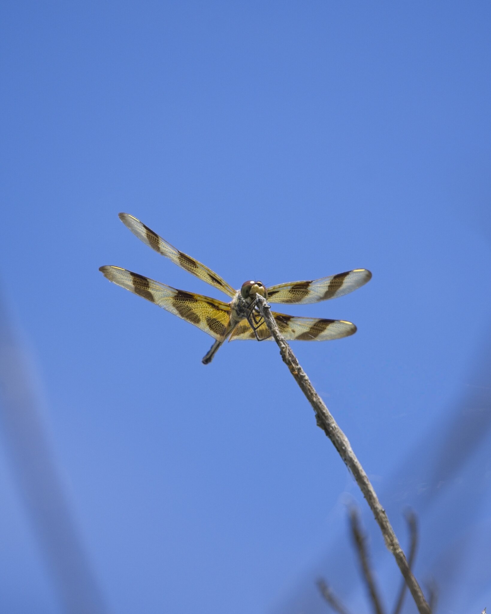 DSC06508.jpg