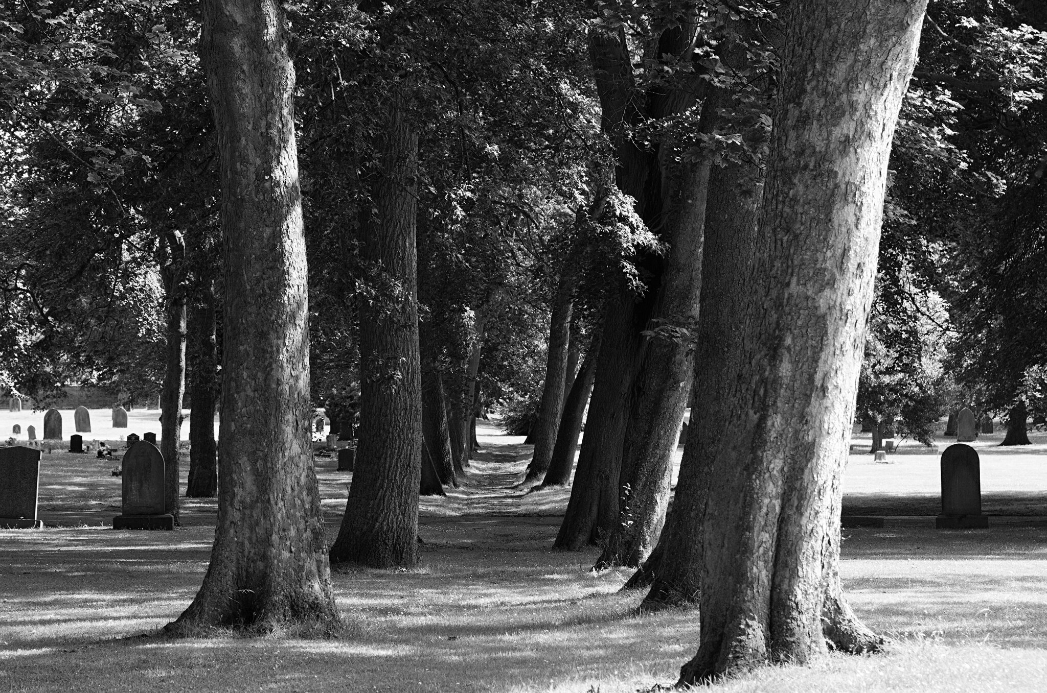 DSC07043Bishopwearmouth Cemetary 2.jpg