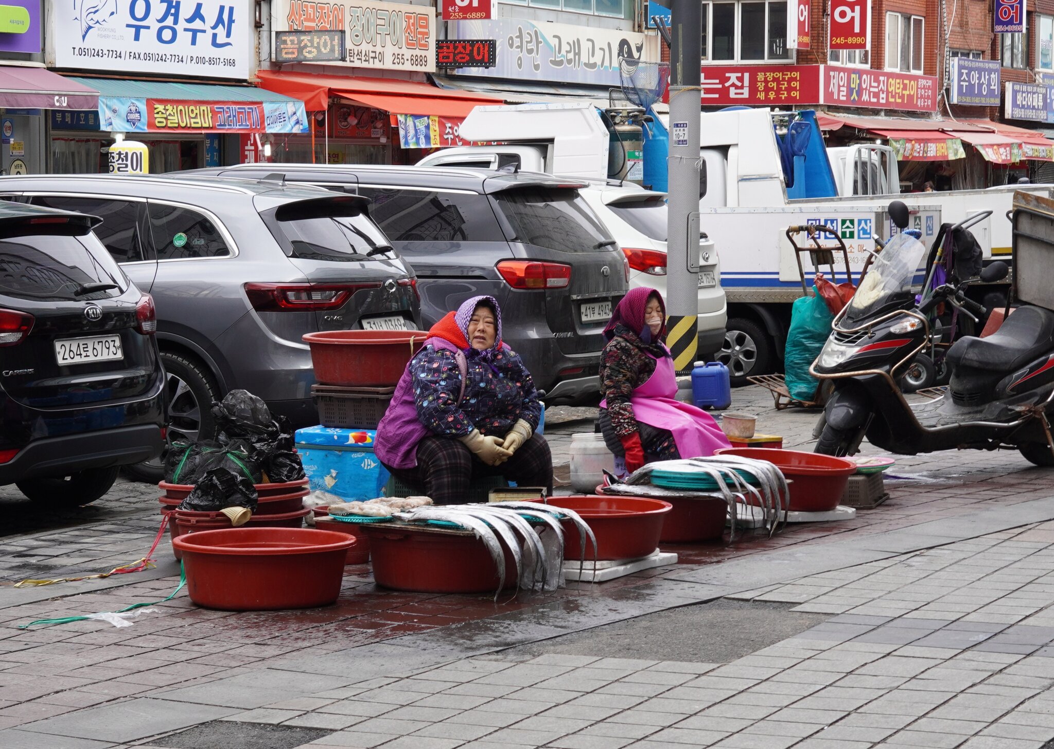 DSC07974.JPG