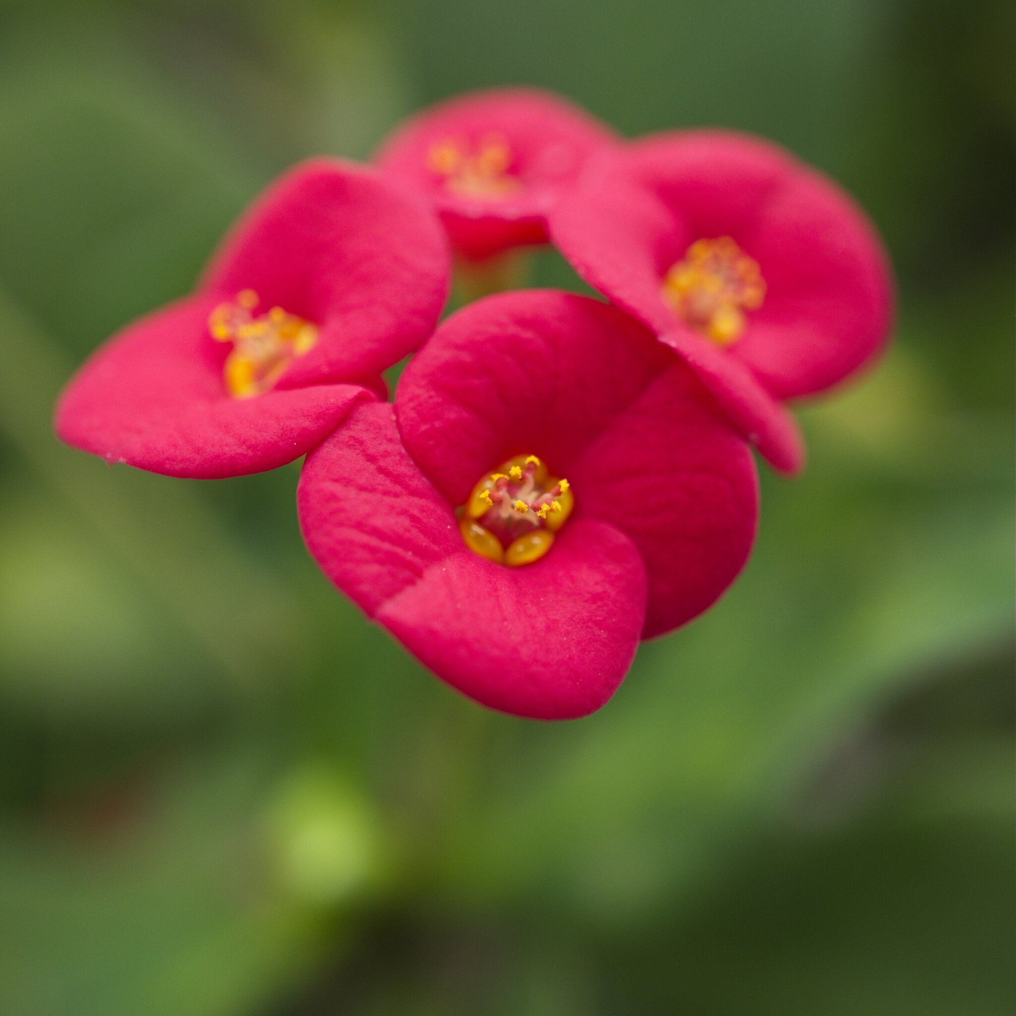 DSC07979.jpg