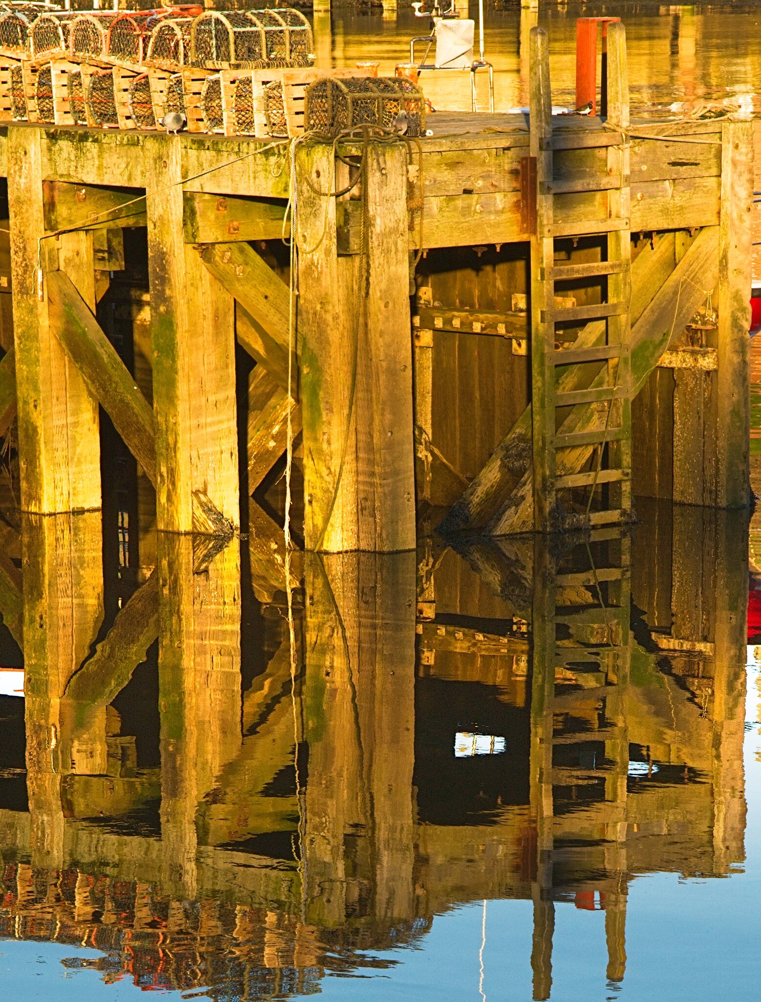 DSC08089Whitby Harbour.jpg