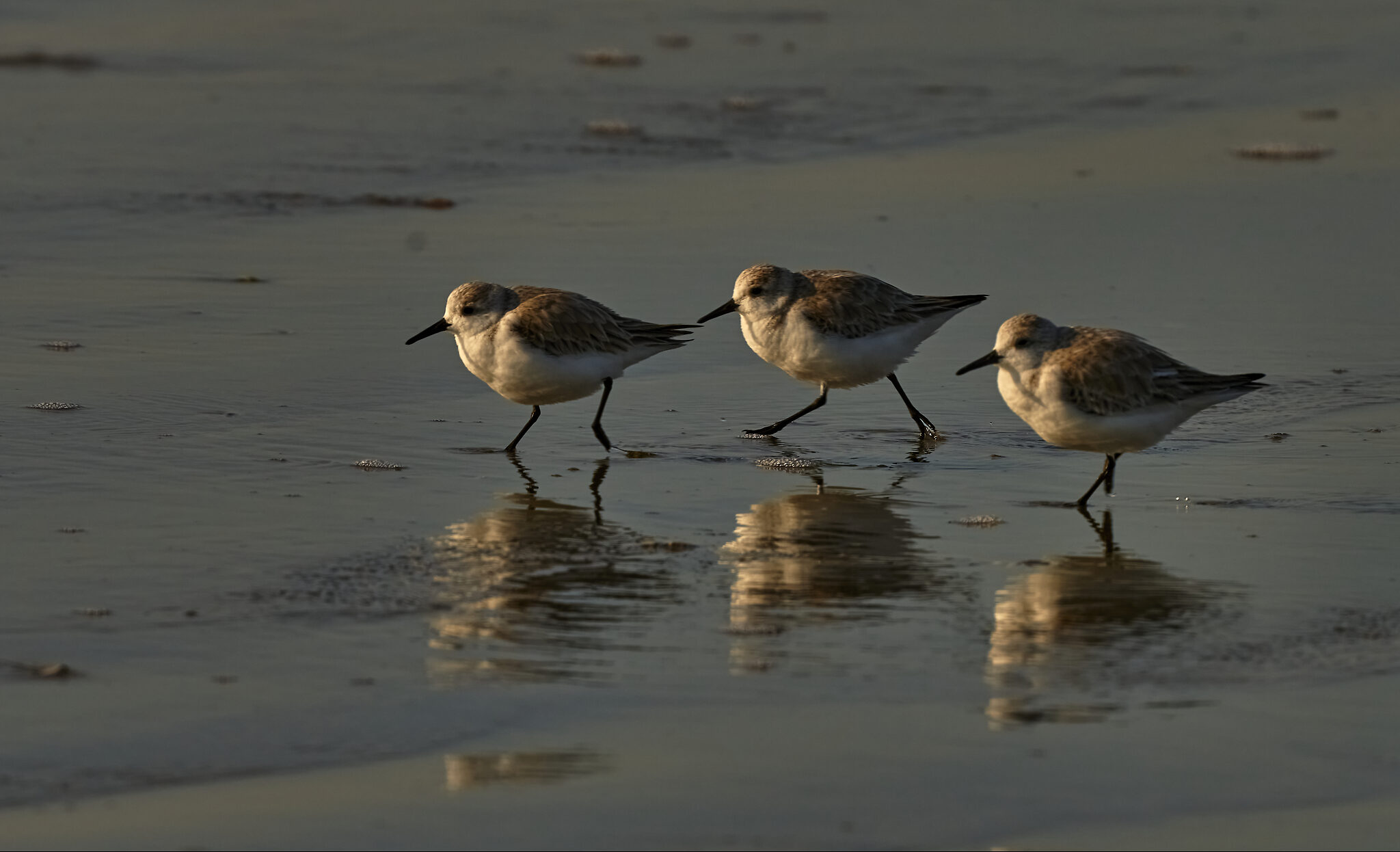 Early morning at beach