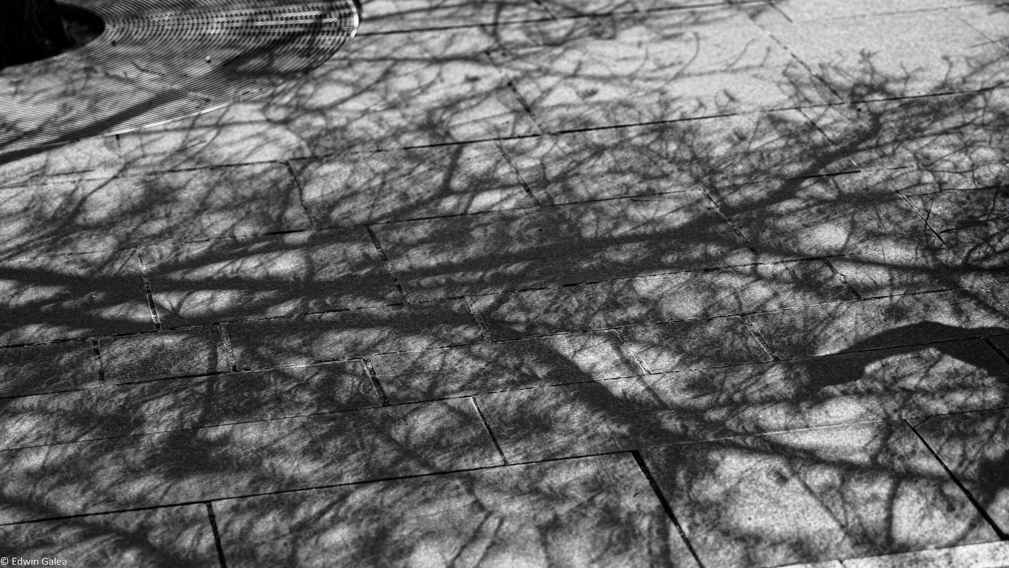 eclipse_shadows-2.jpg