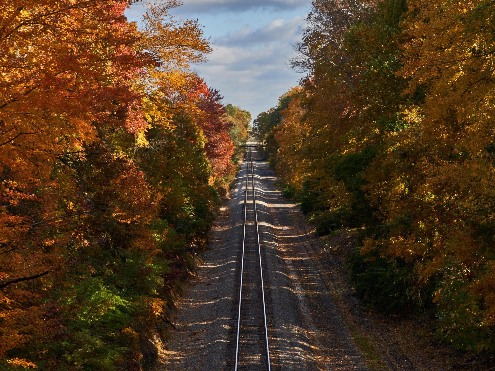 Fall color tracks 2018.jpg