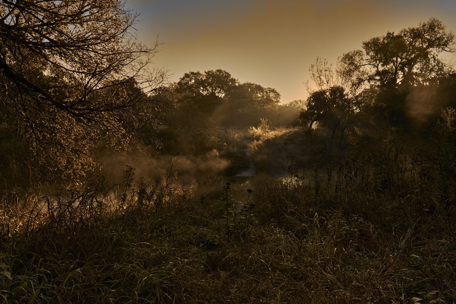 Fall morning