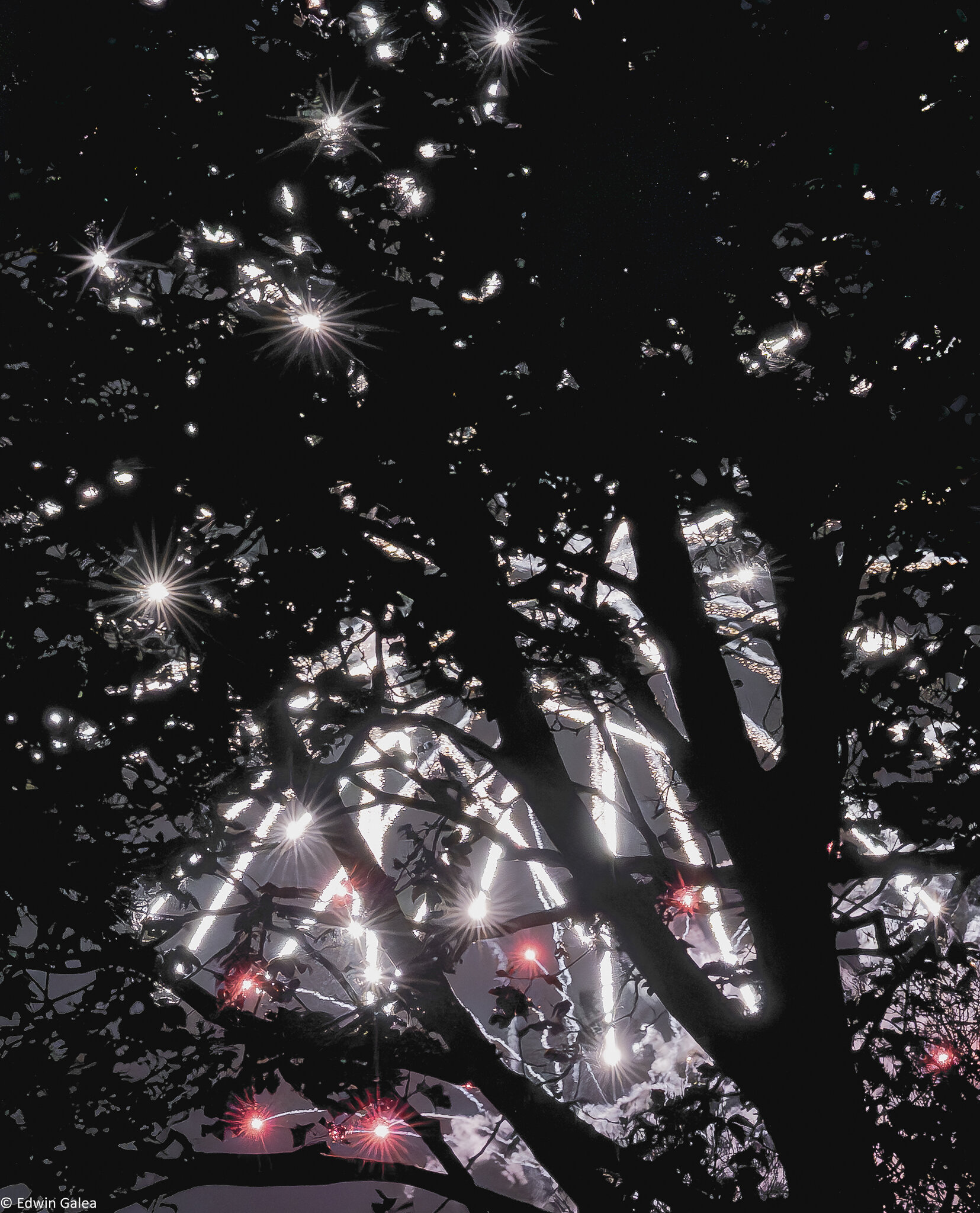 fire works-4.jpg