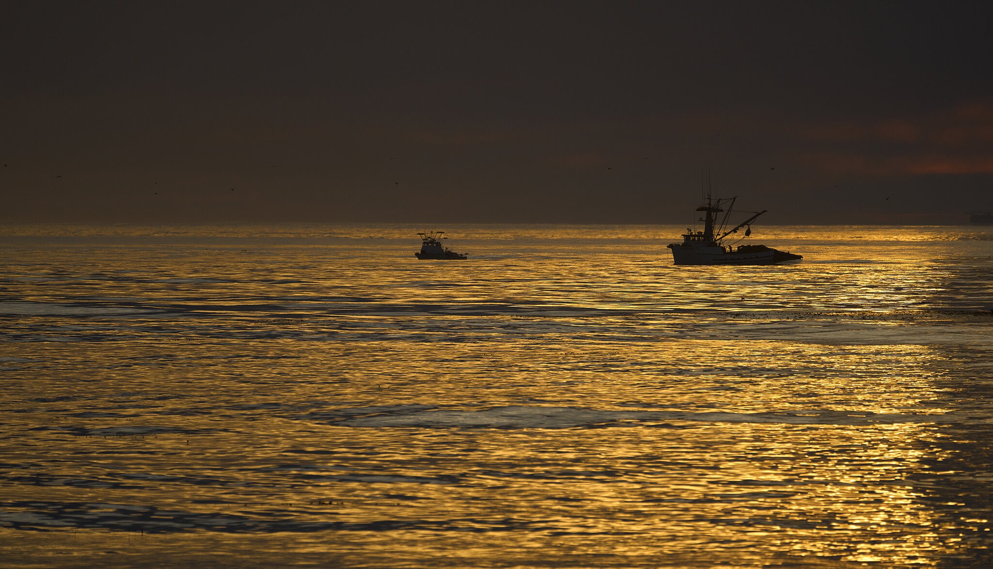 Fishing boats 2.jpg