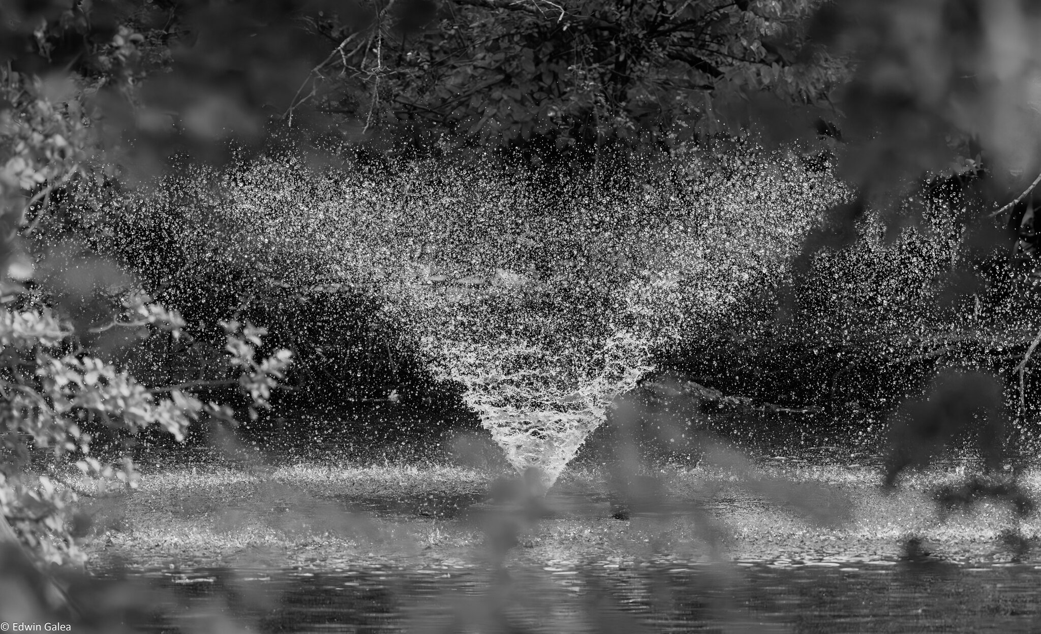 fountain_BW_IR-5.jpg