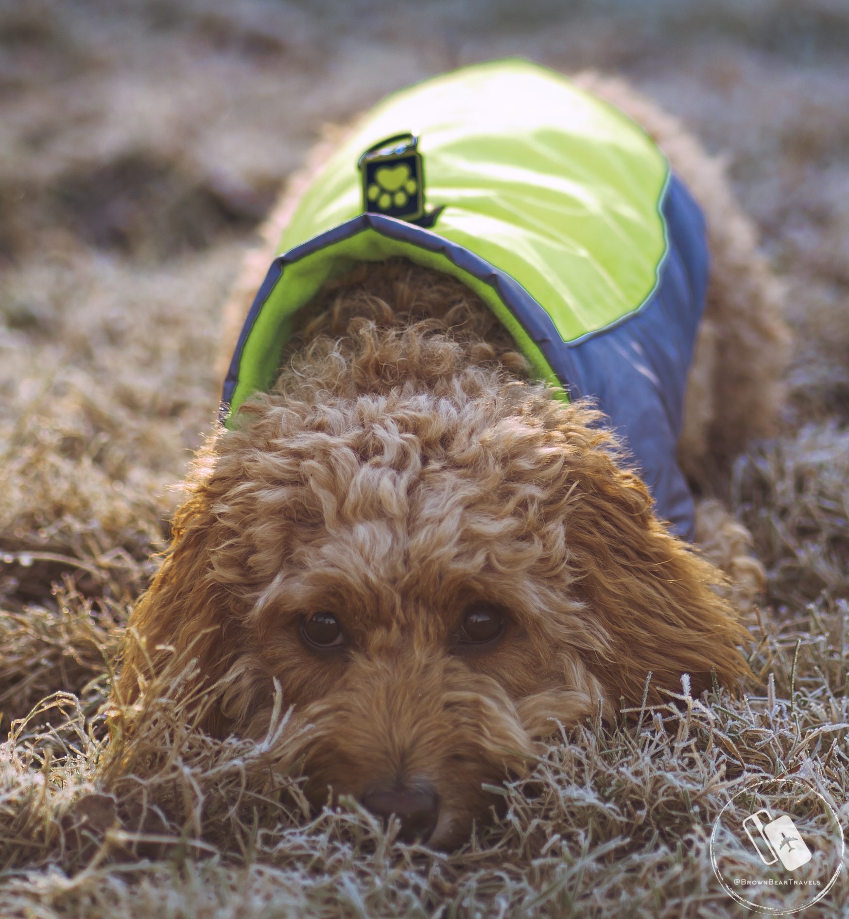 Frosty morning rest post run session