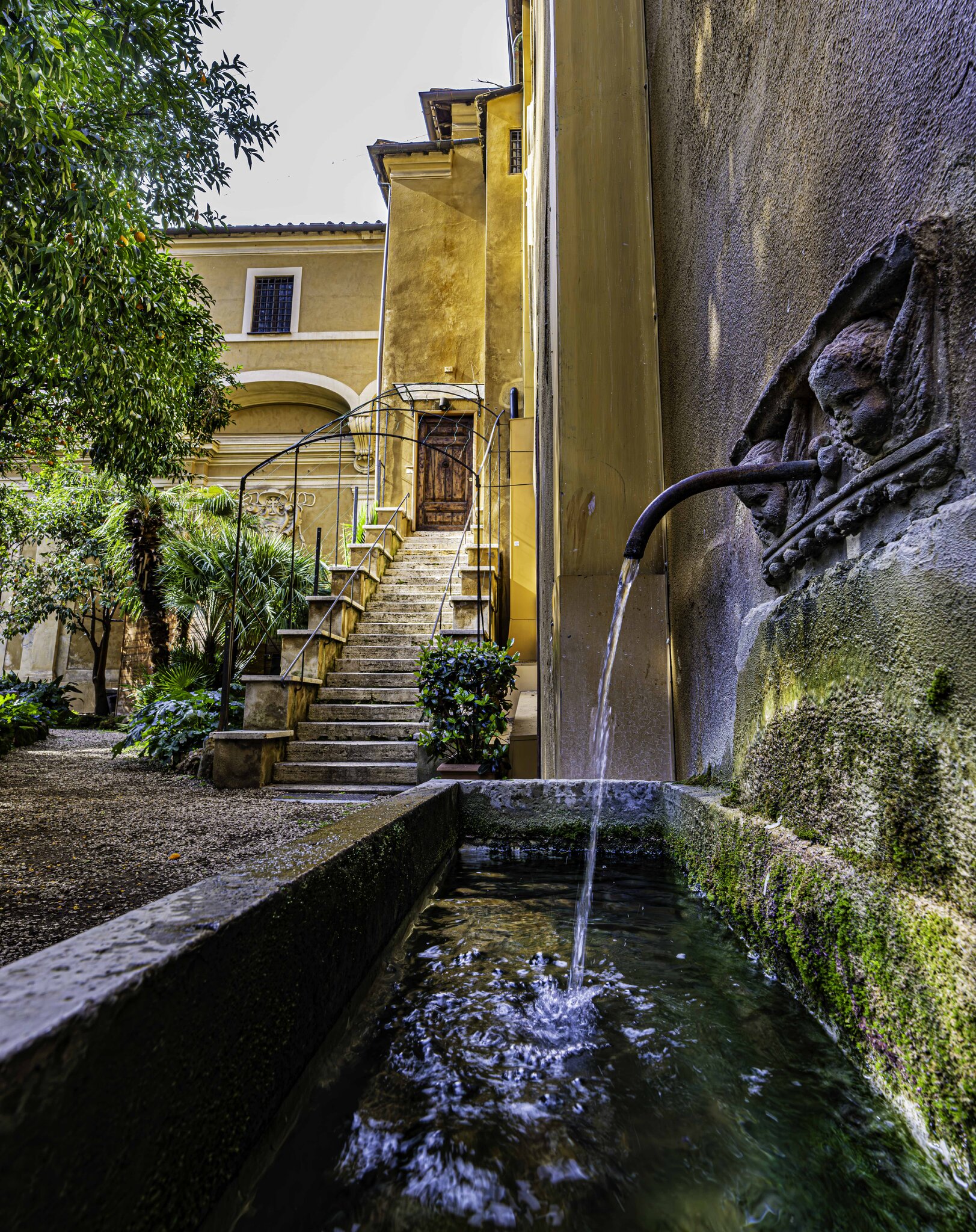 Garden in Rome.jpg