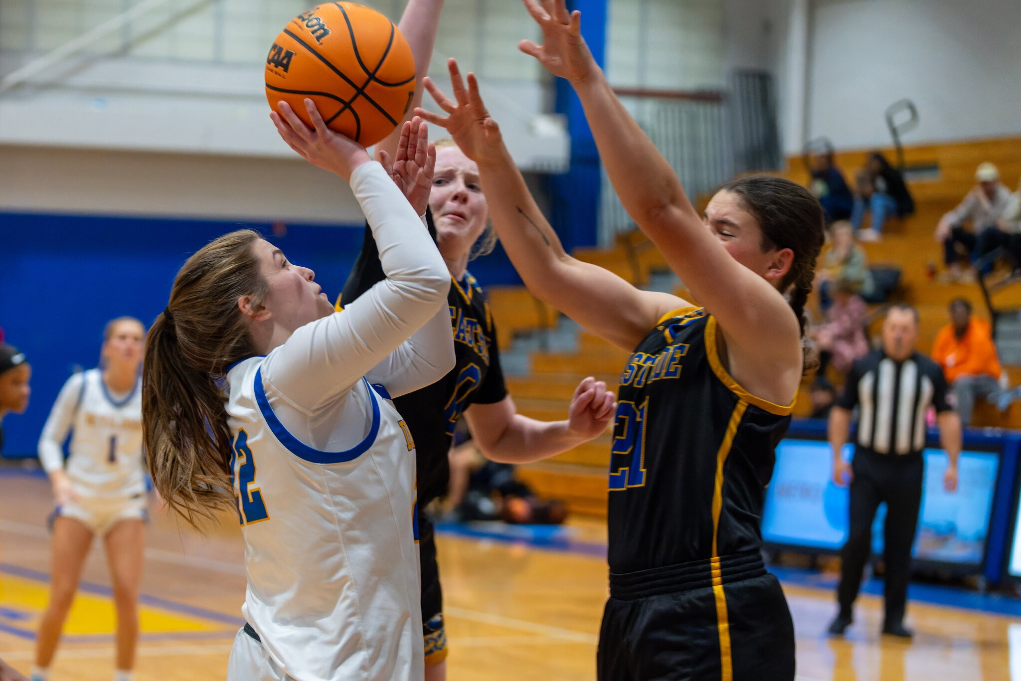 gbball1128-129.jpg